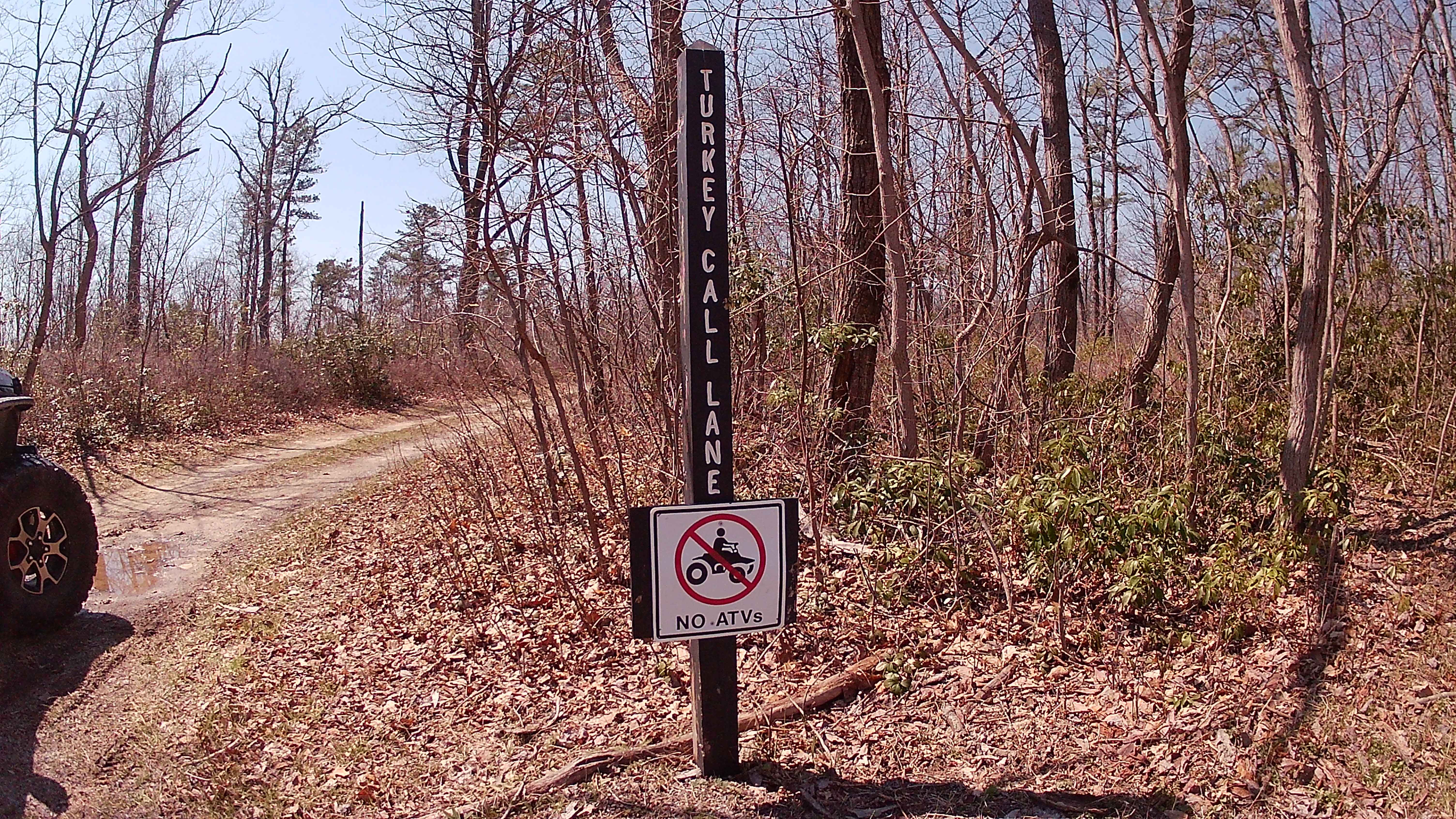 Turkey Call Lane