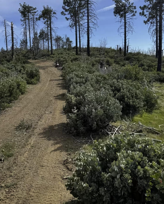 Horse Mountain South Connector - FS 17N27B