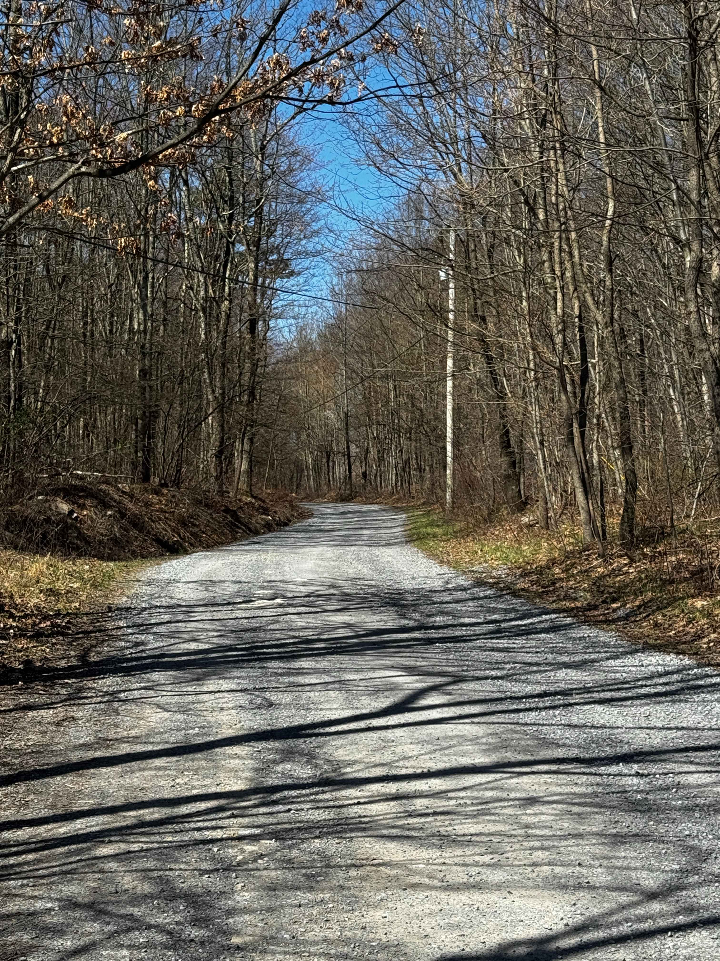McClosky Road