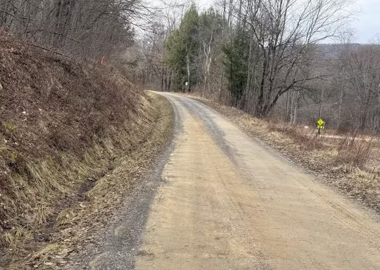 Windfall Run - FS 278.1