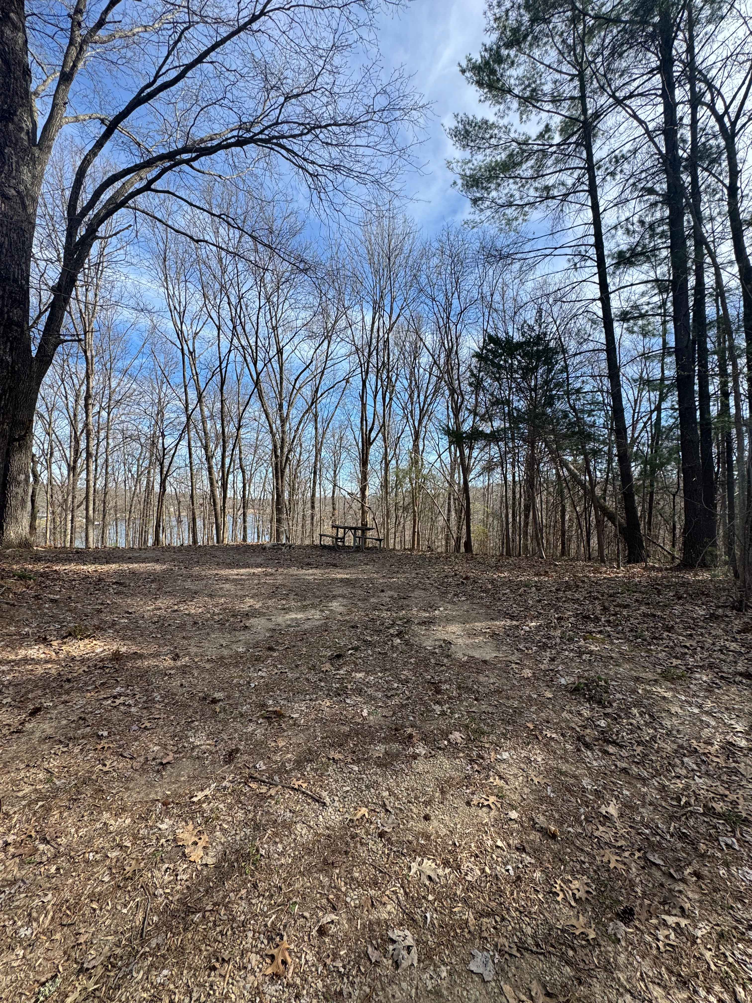 Lake Of Egypt Campground Drive - FS 871A