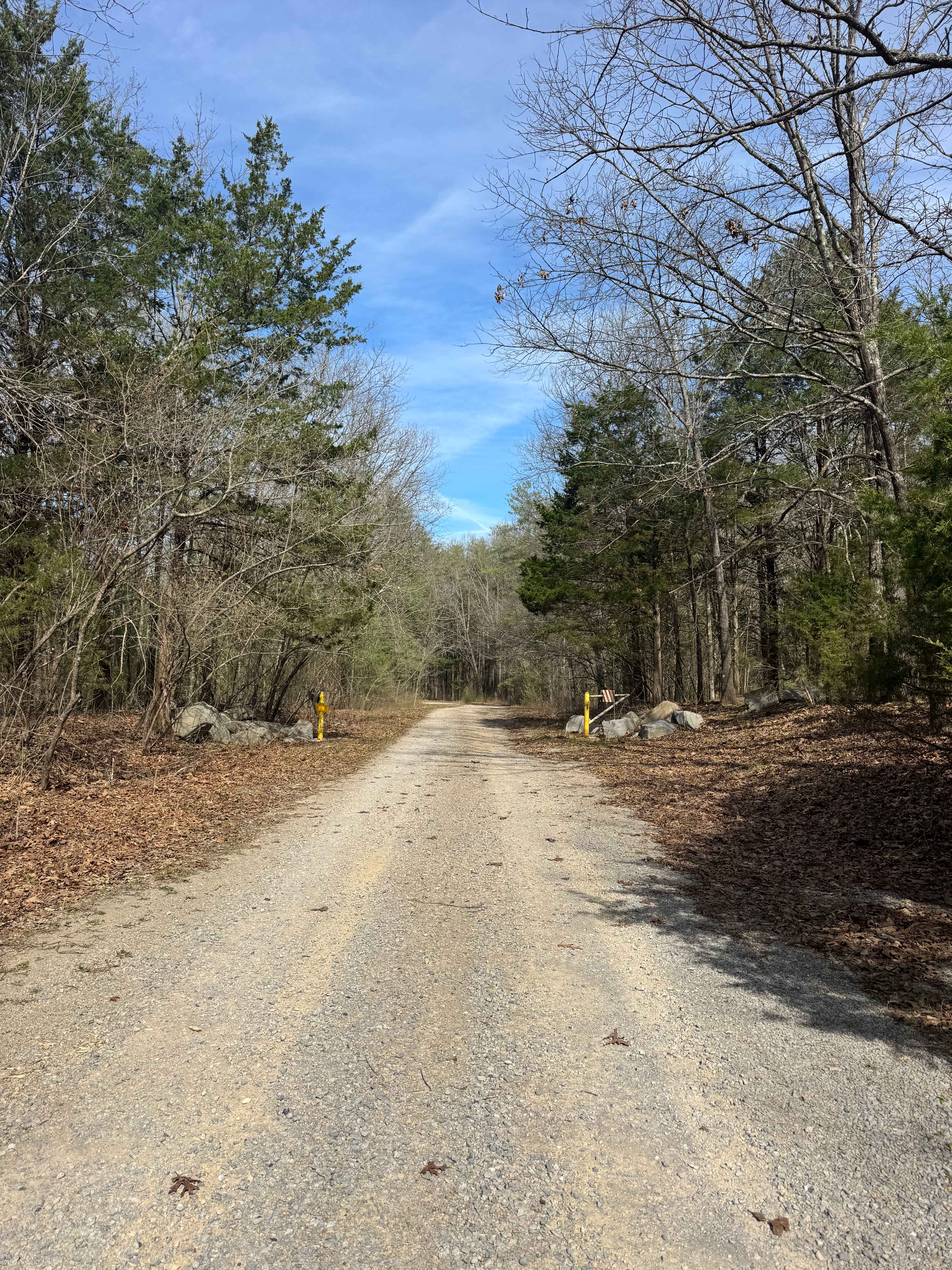 Lake Of Egypt Campground Drive - FS 871A