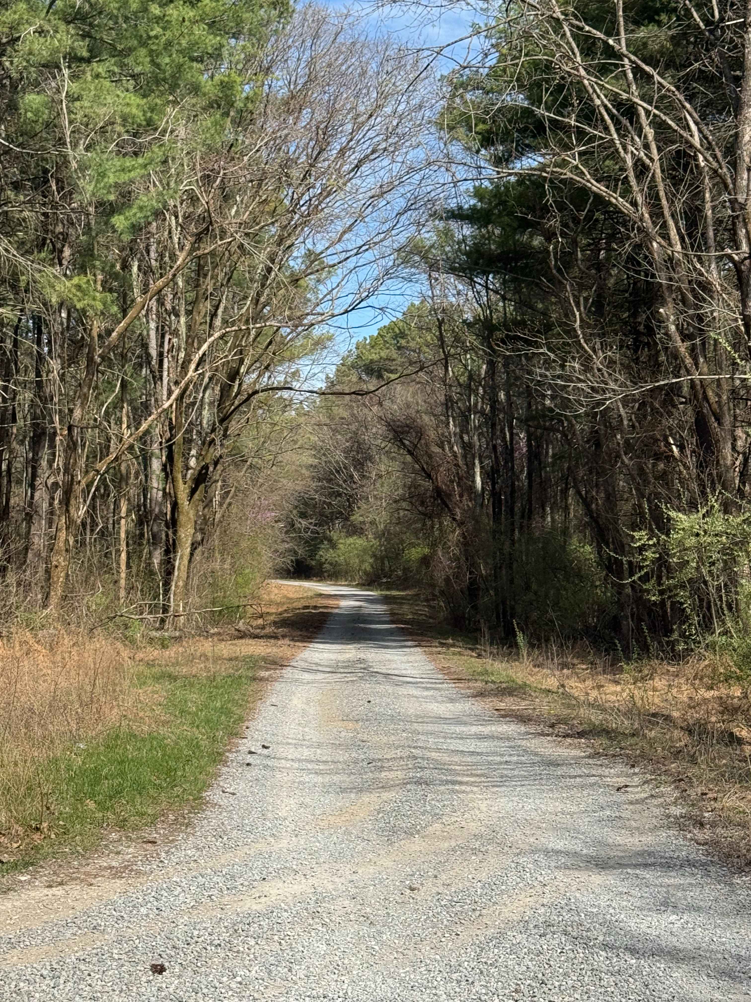 Hickory Point Boat Ramp - FS 871
