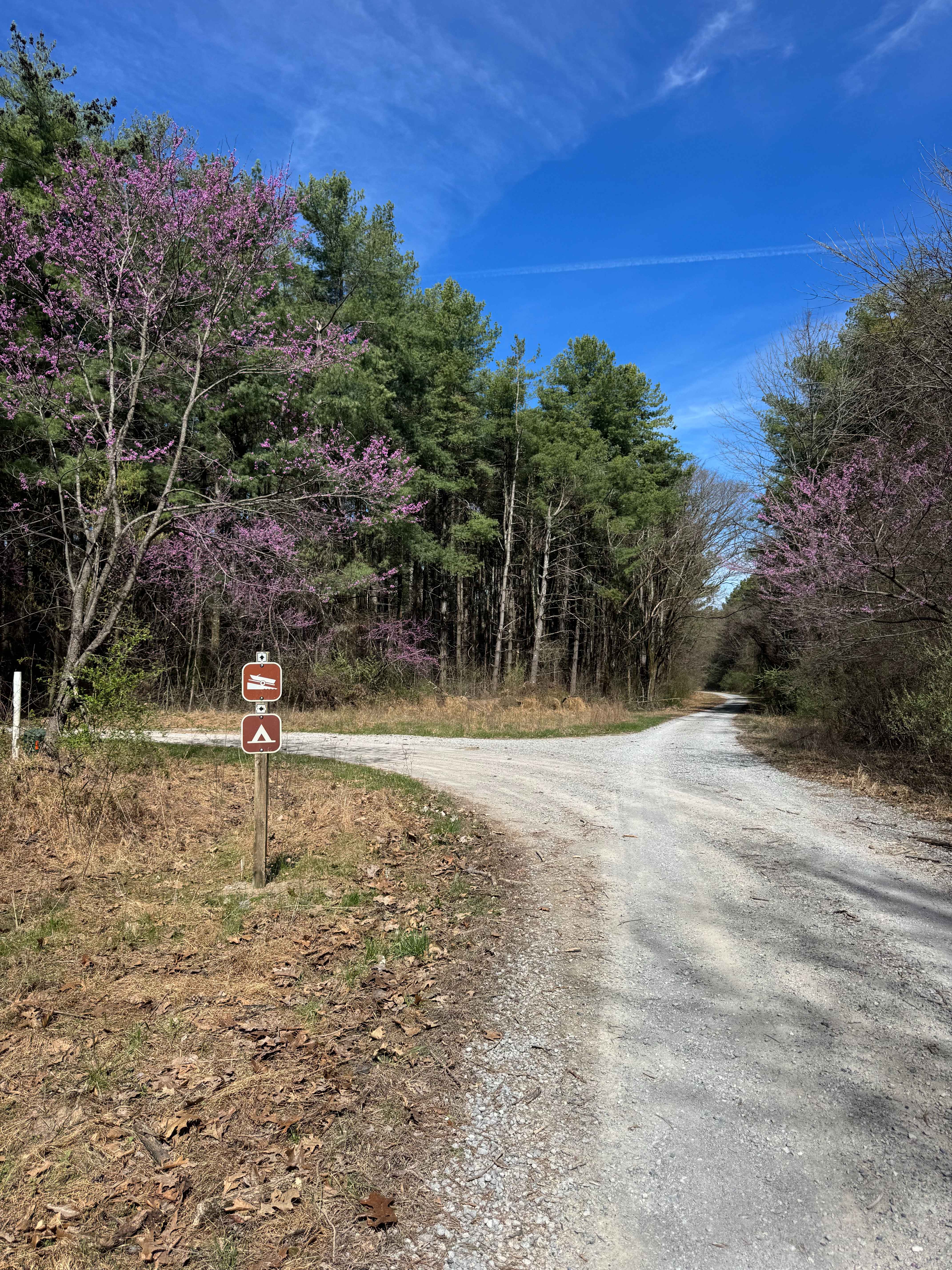 Hickory Point Boat Ramp - FS 871