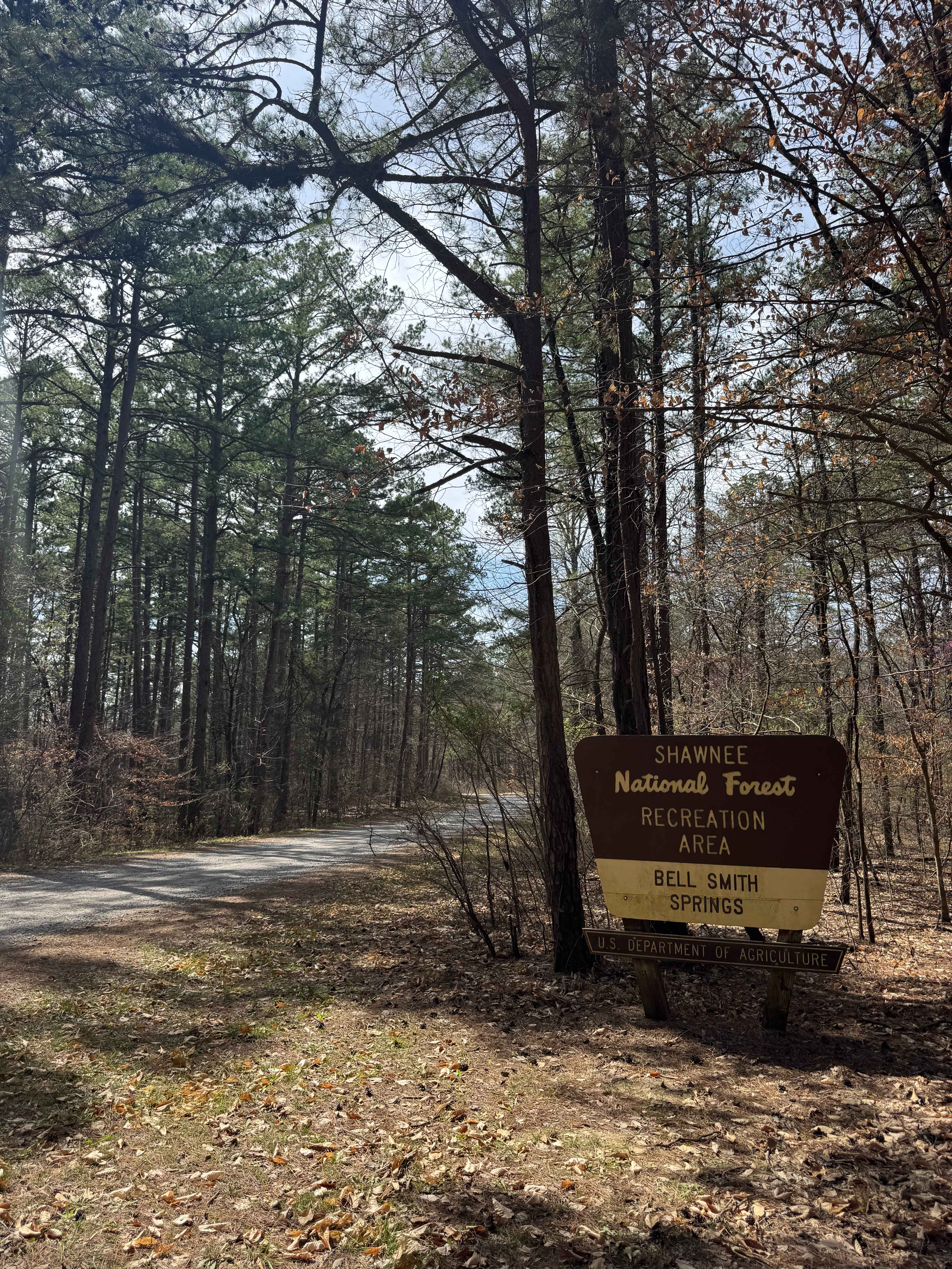 Bell Smith Spring Rope Swing Trail