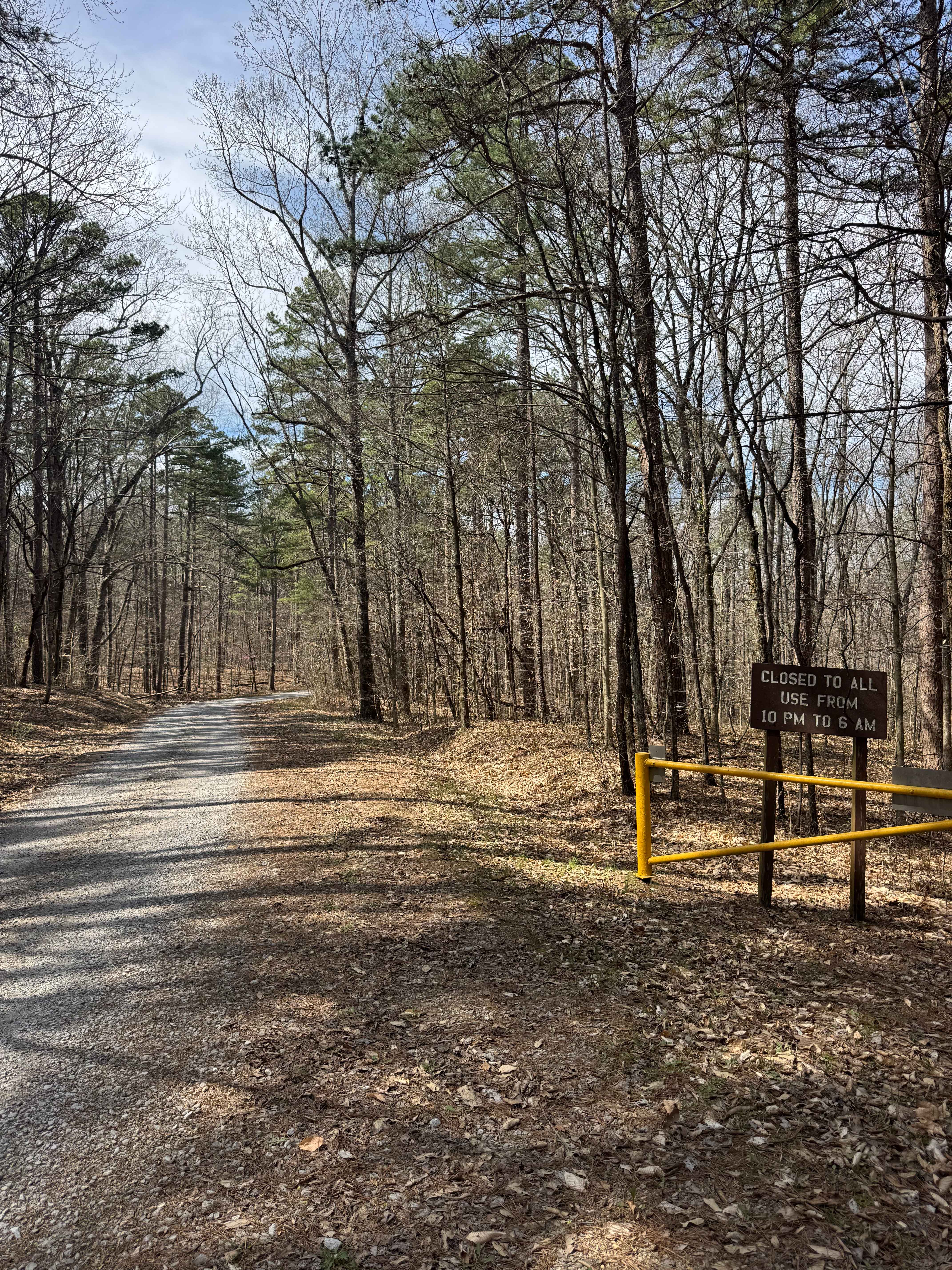 Bell Smith Spring Rope Swing Trail