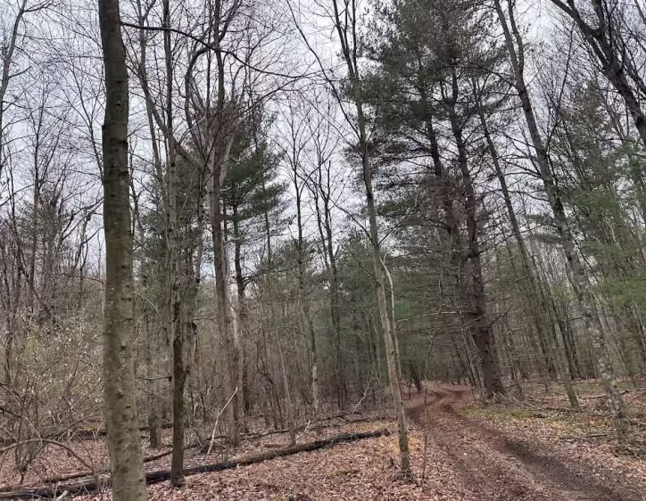 Holly Ave Inner Loop