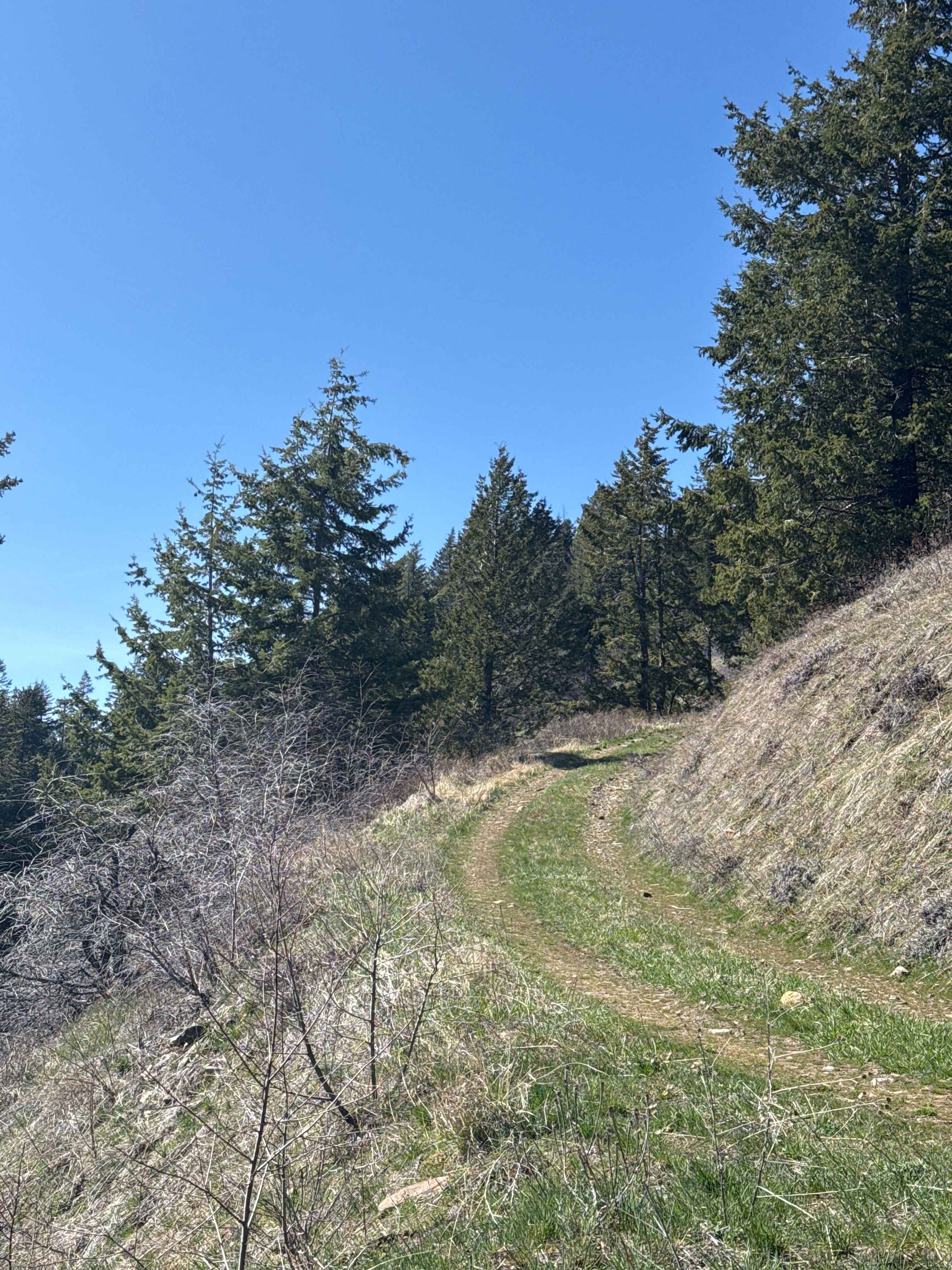 Eagle Mountain - FS 4300080