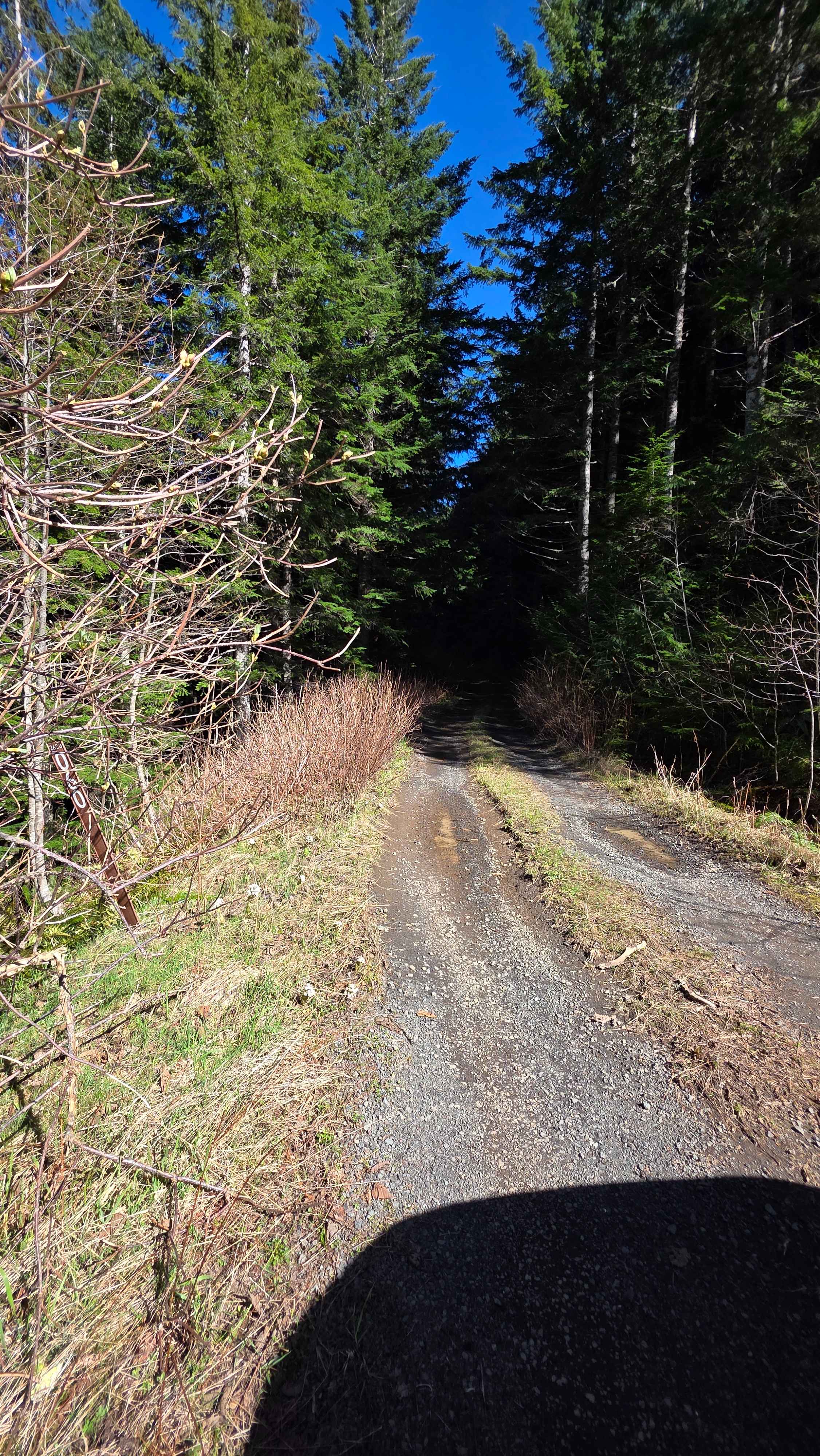 Buck Mountain Ridge Rd - FS 2060060