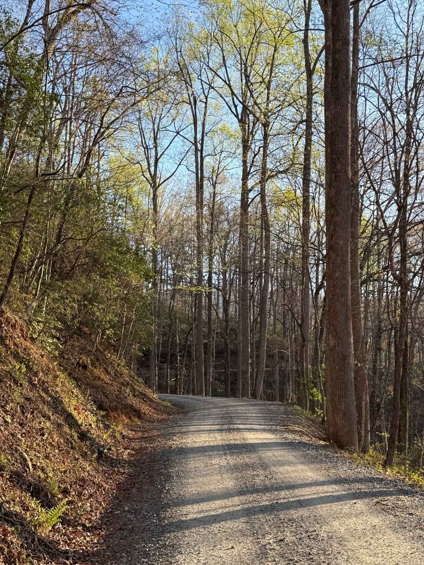 Avery Creek - FS 477