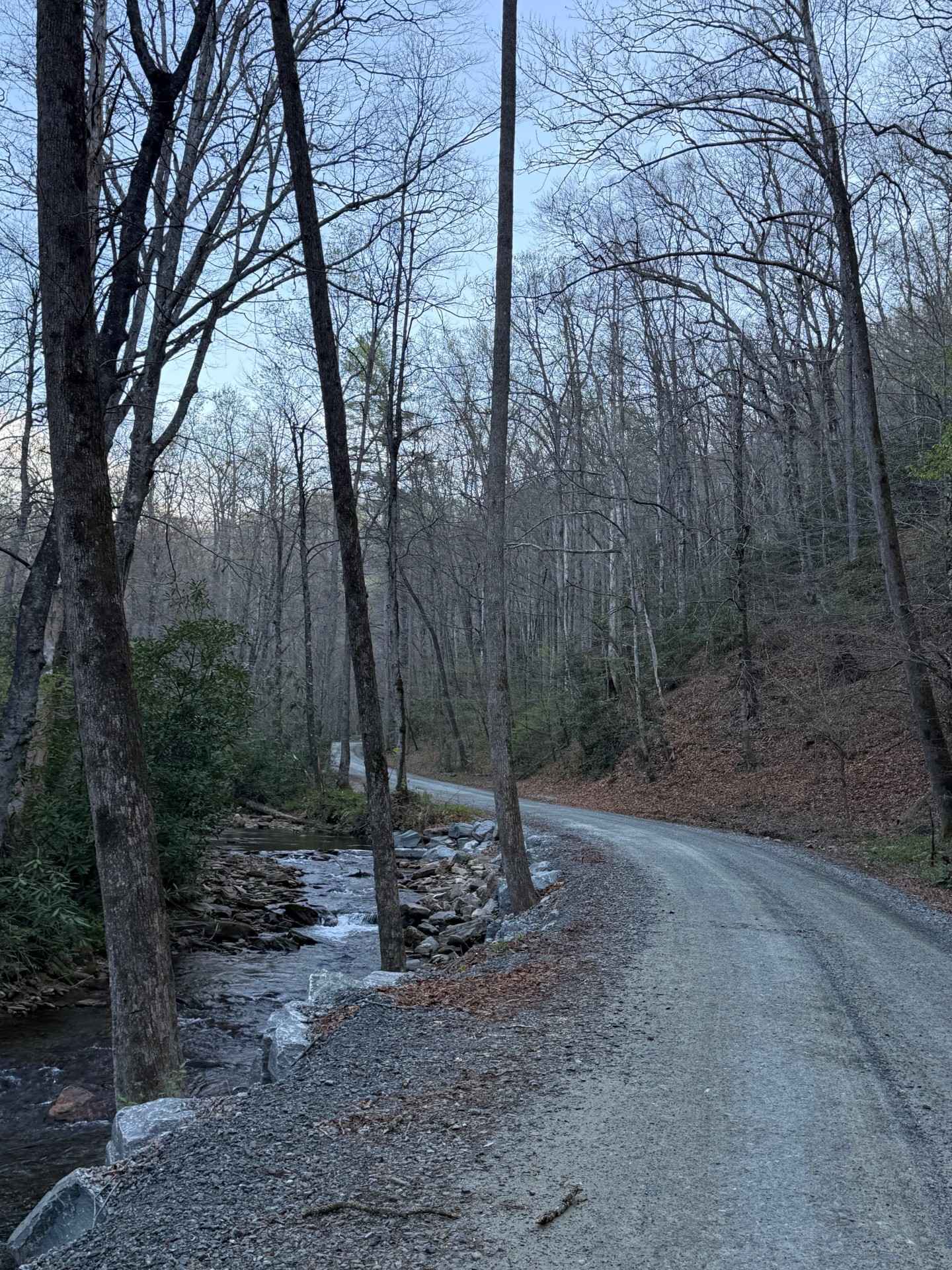 Avery Creek - FS 477