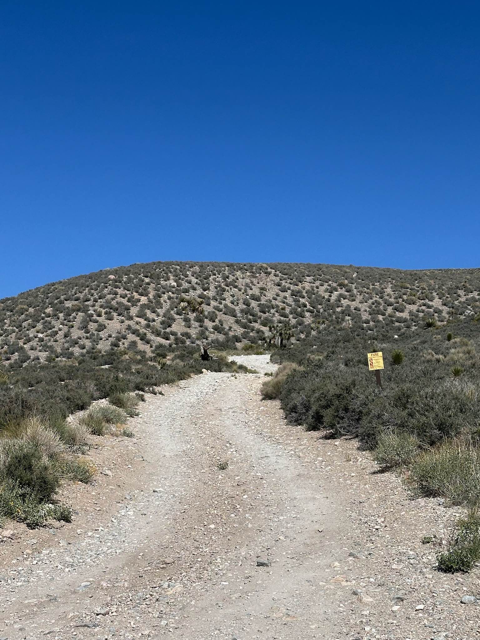 Monarch Flat - FS 3N36