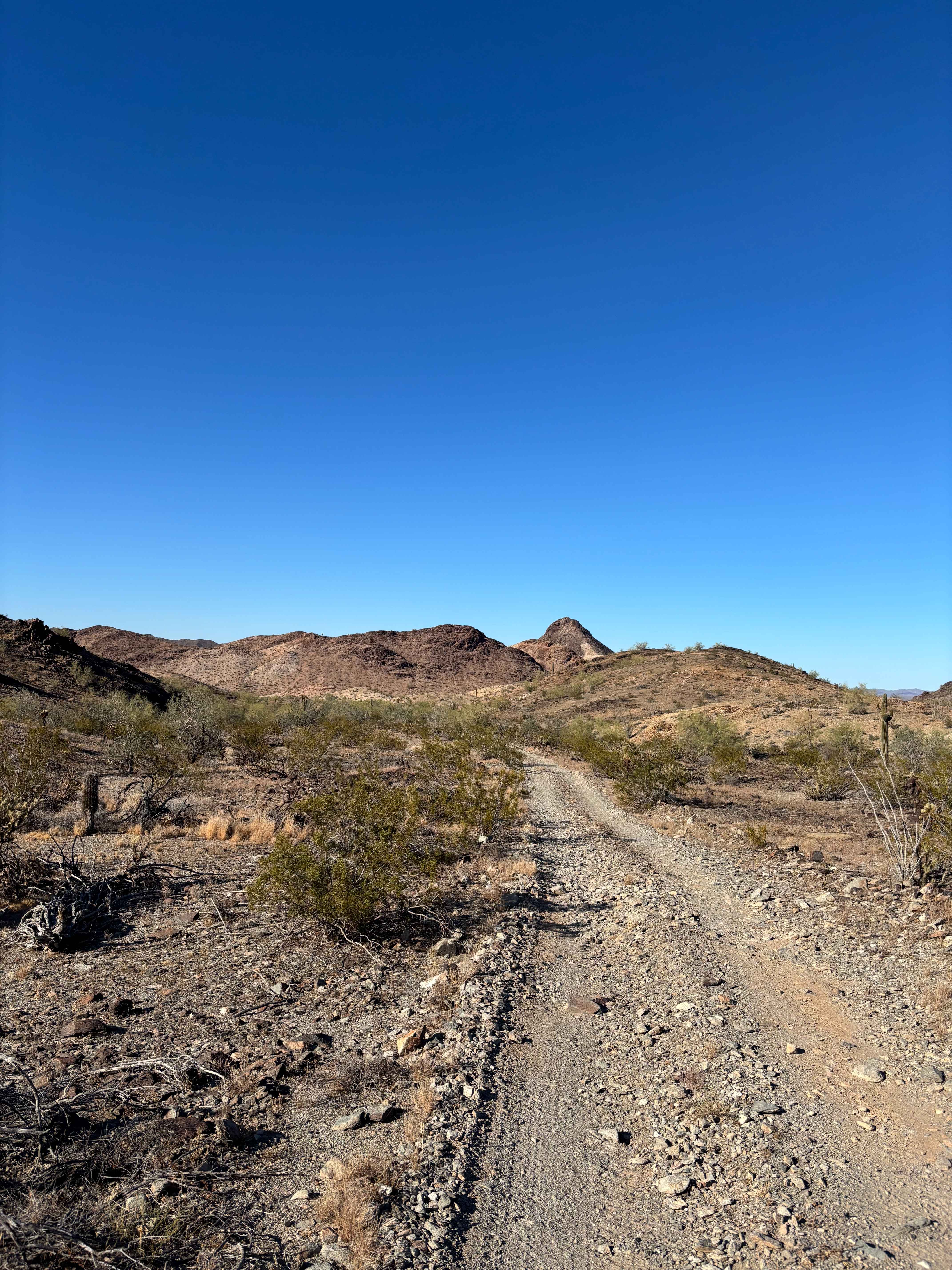 BLM 0129