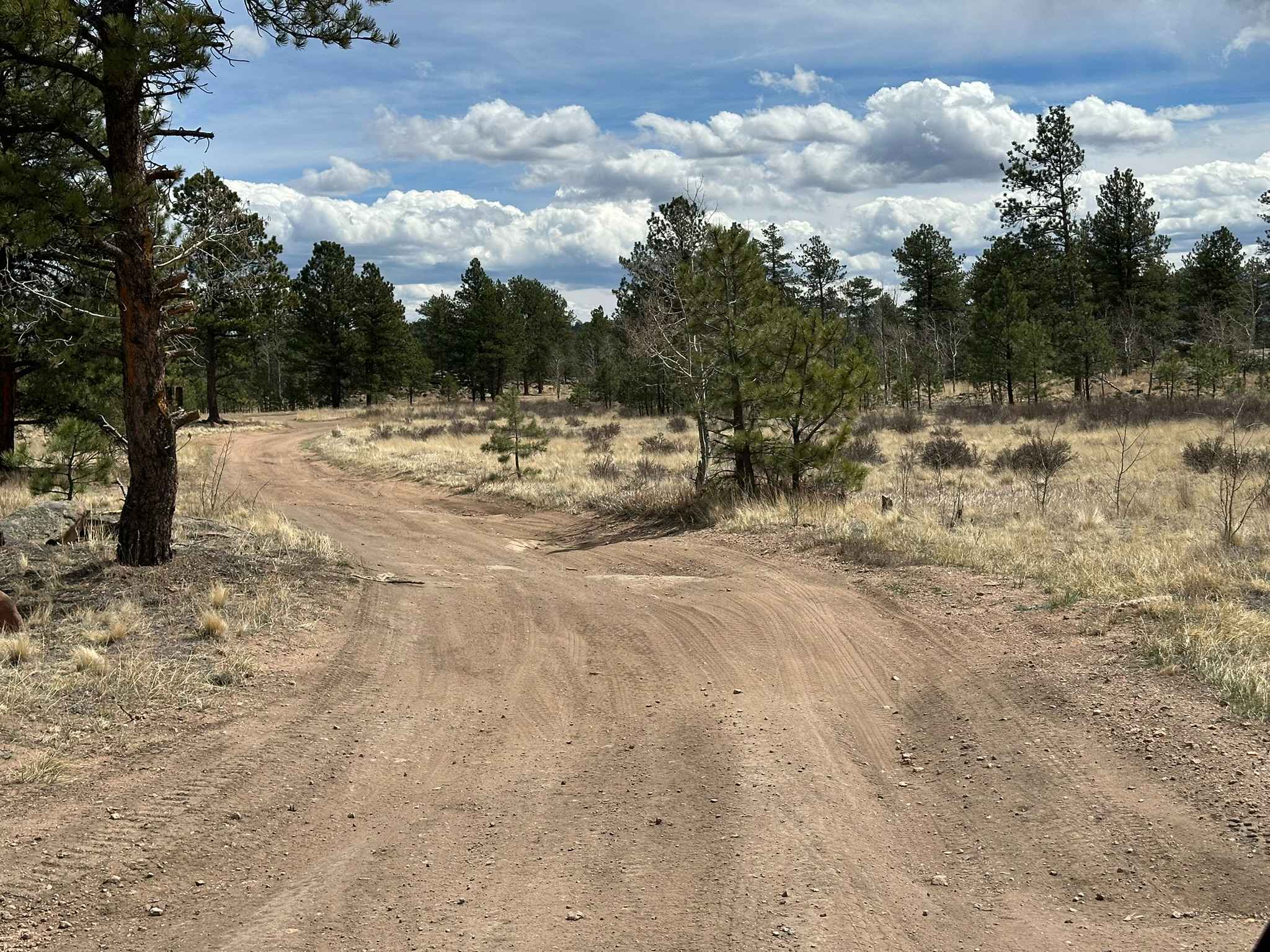 Confirmed Road