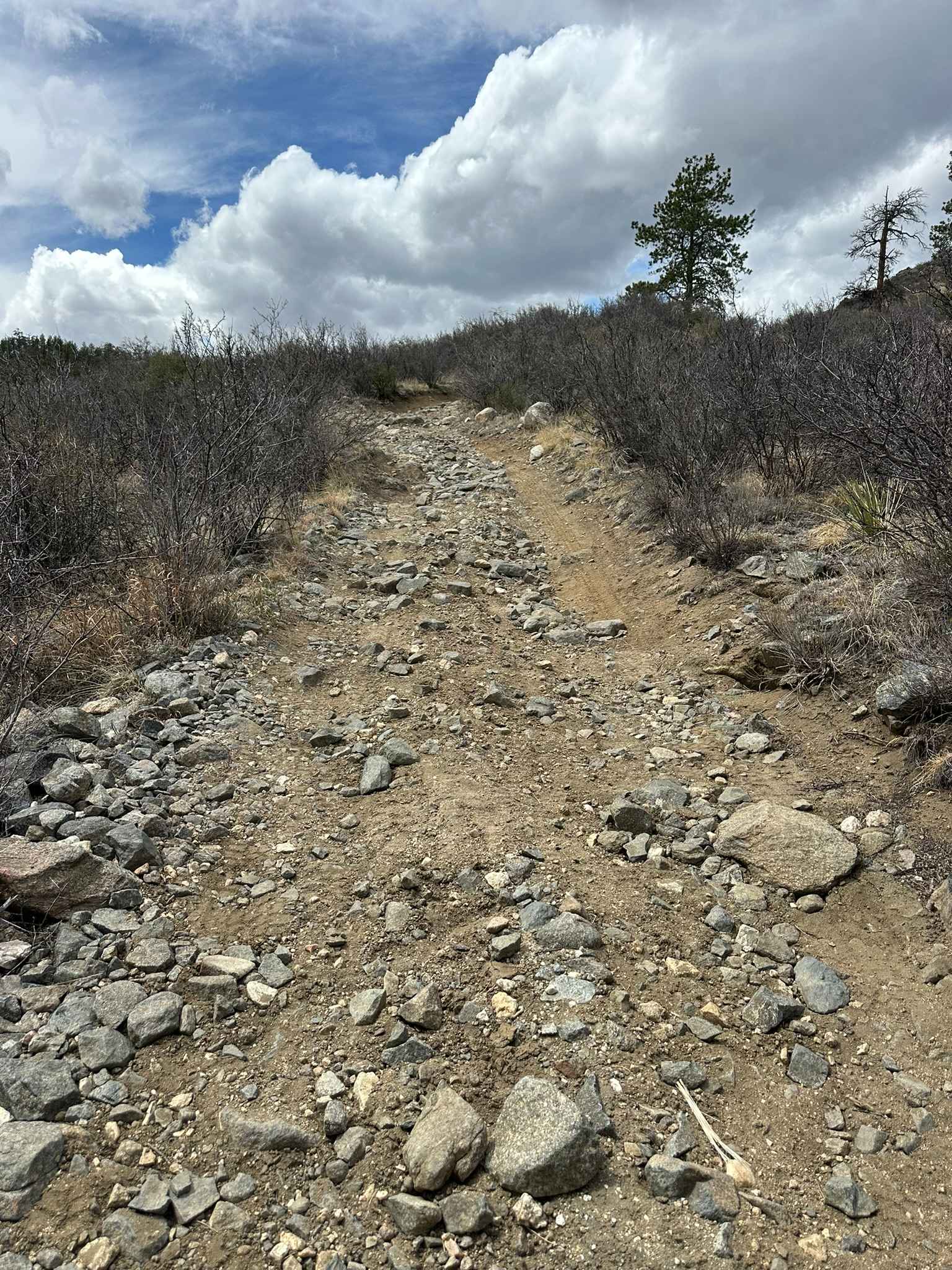 Confirmed Road