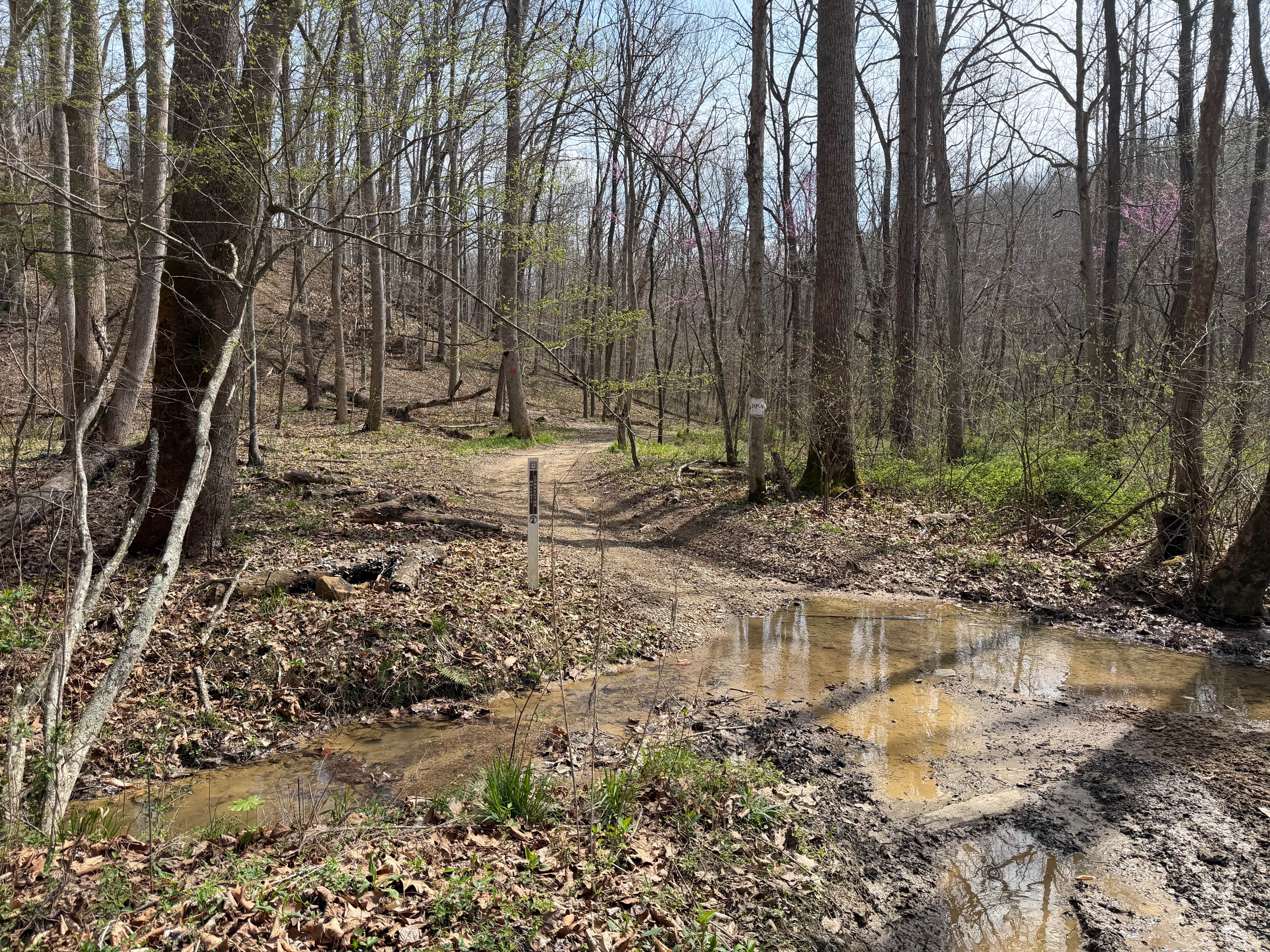 Wolcott Loop