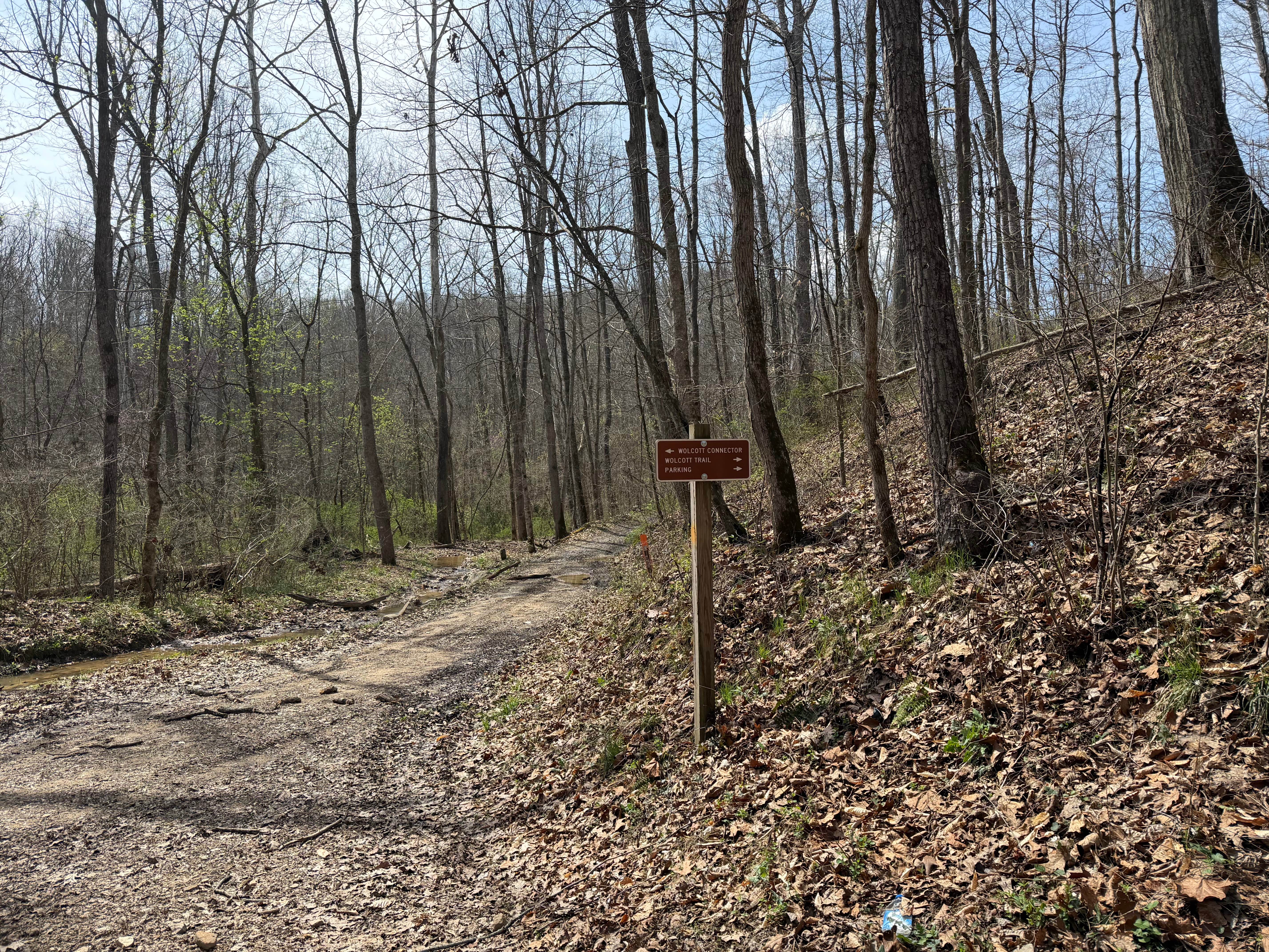 Wolcott Loop