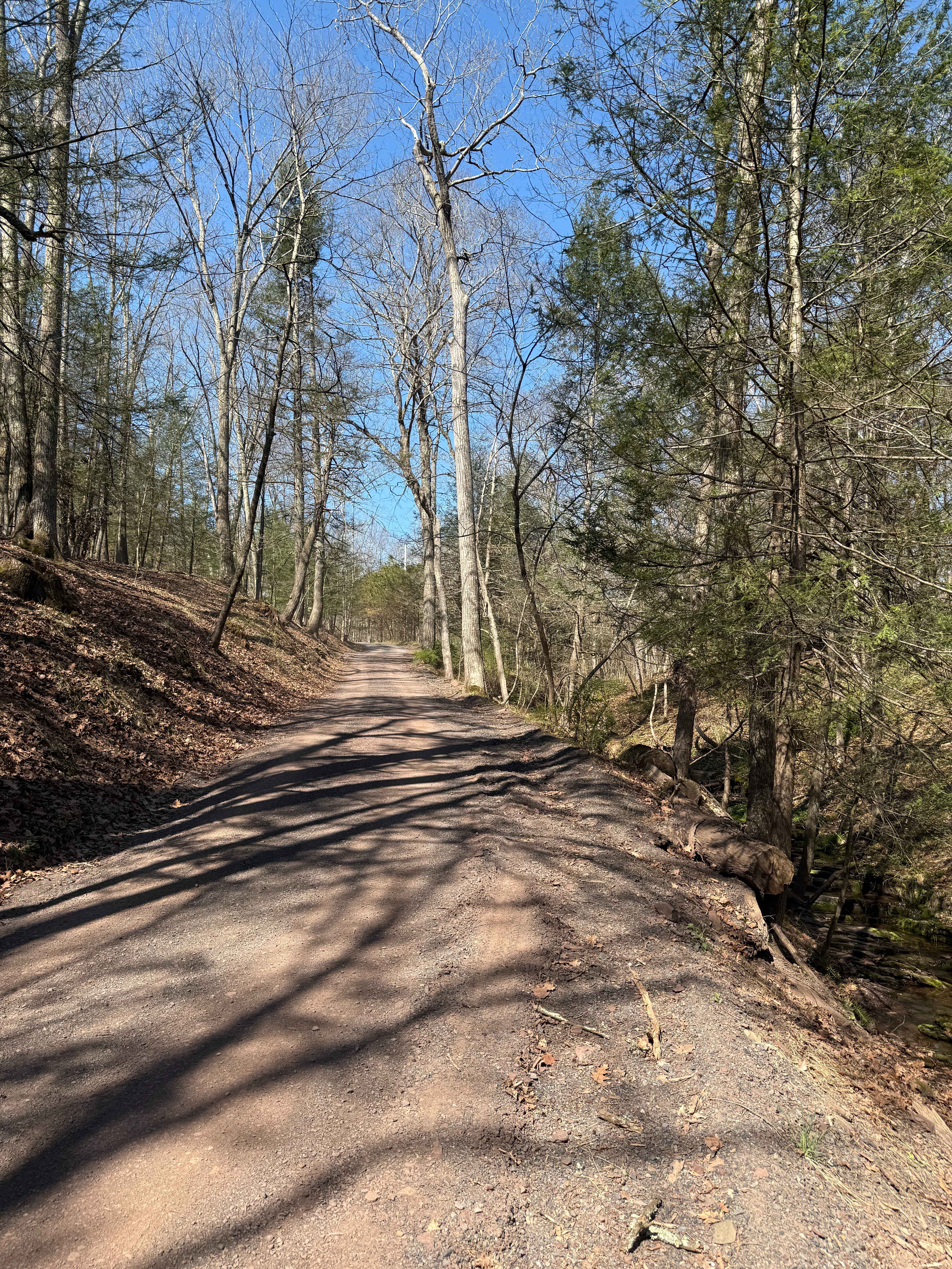Municipal Road Creek Crossing