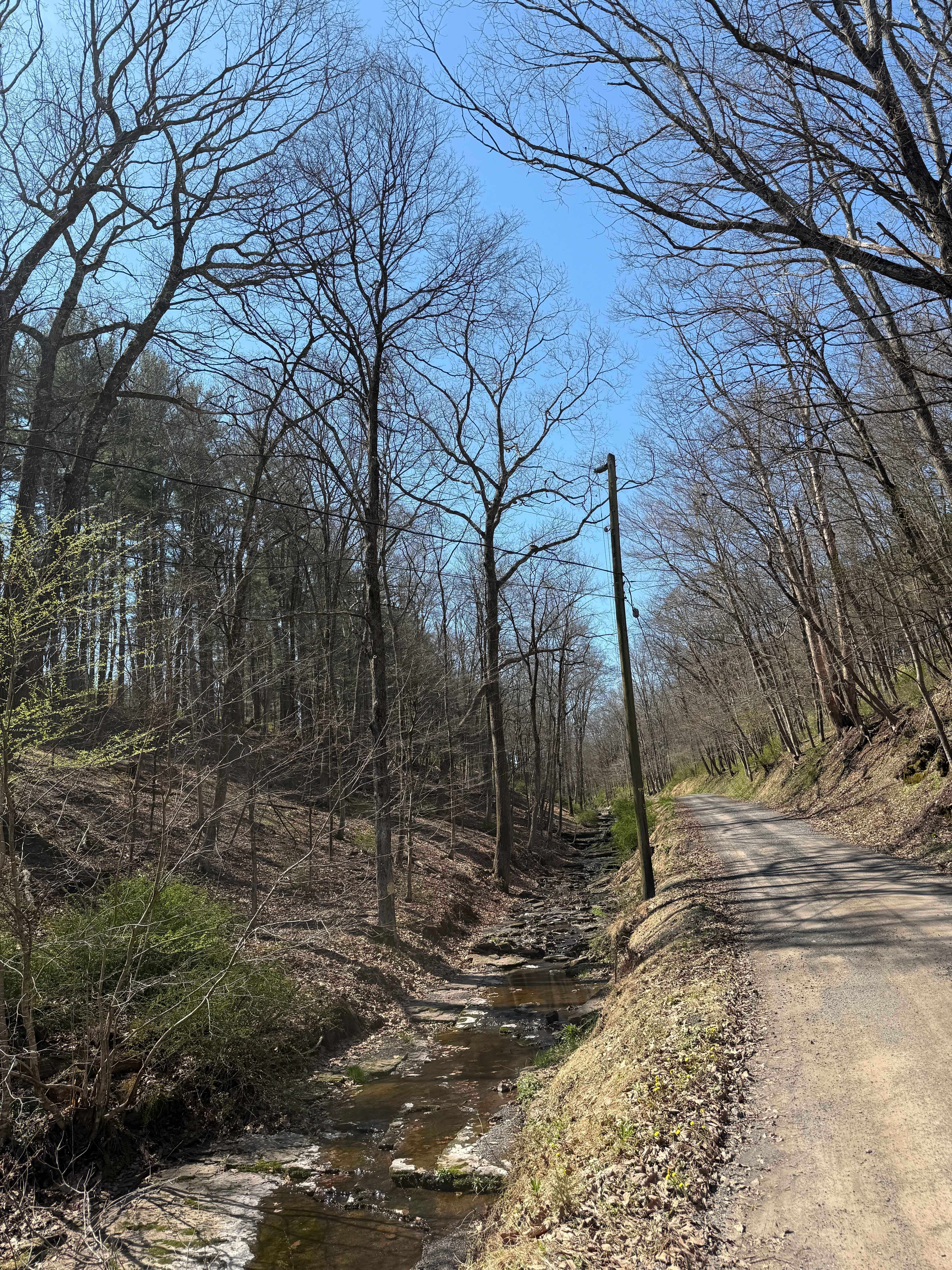 Permanent School Road