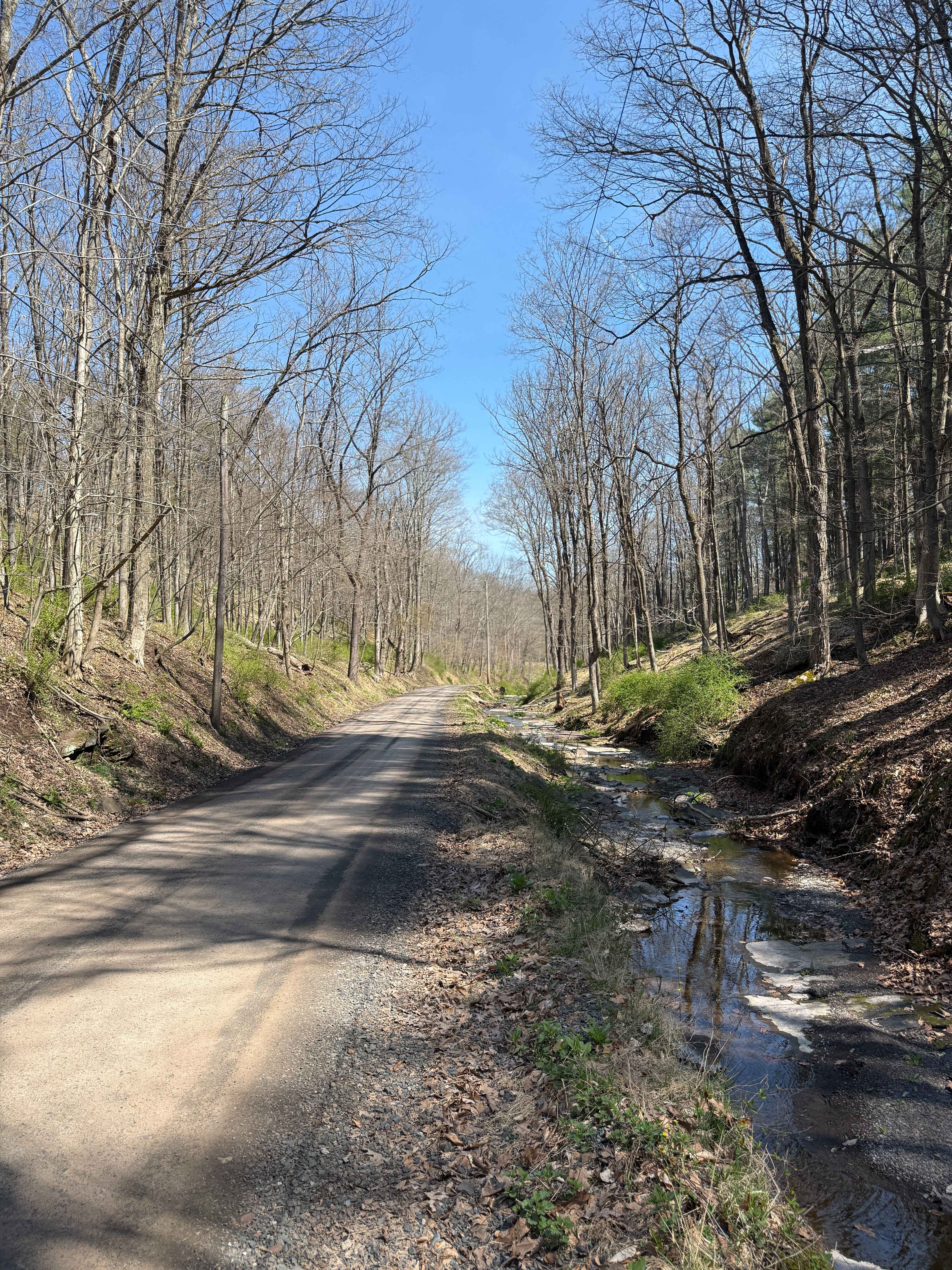 Permanent School Road