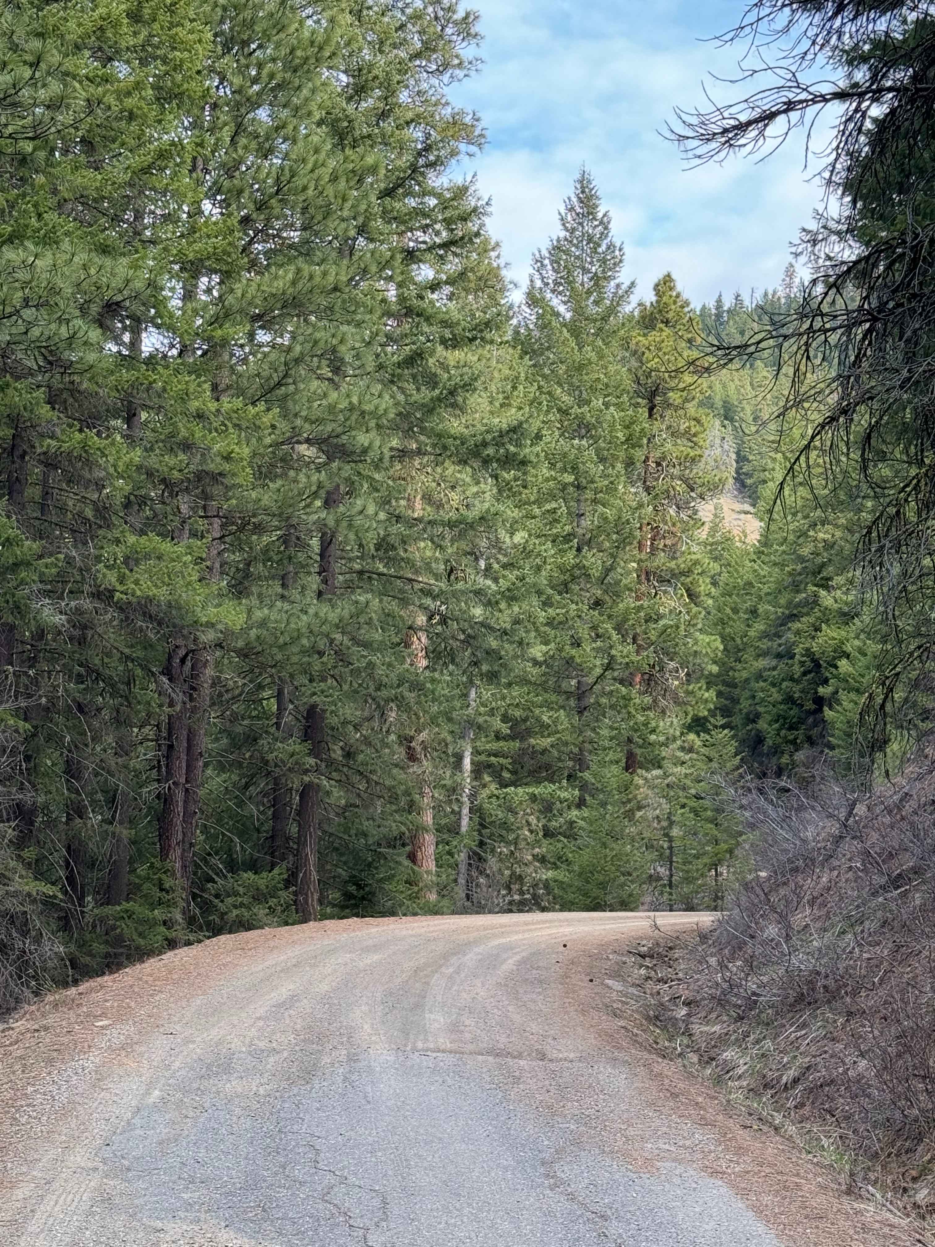 Russell Ridge - FS 1306