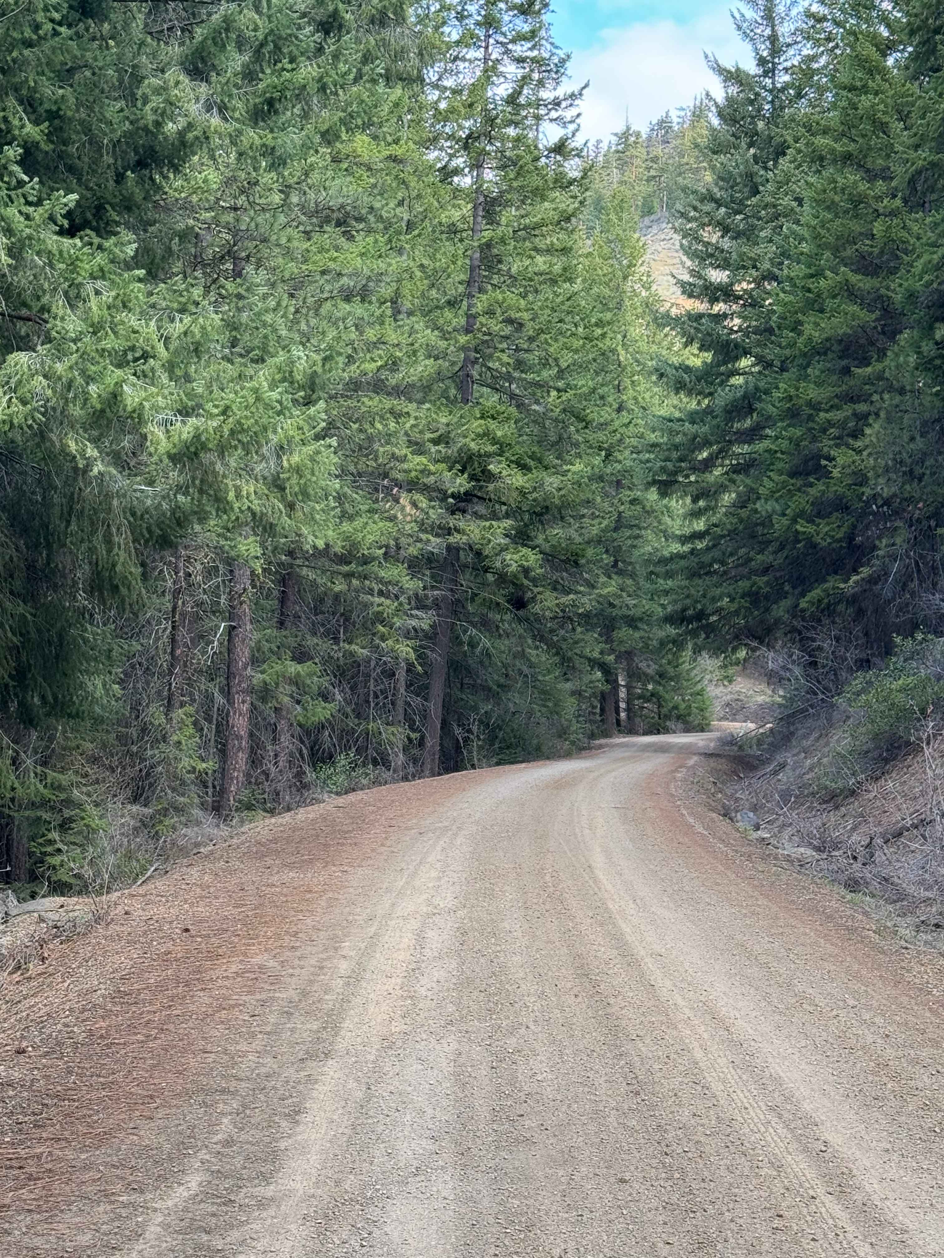Russell Ridge - FS 1306
