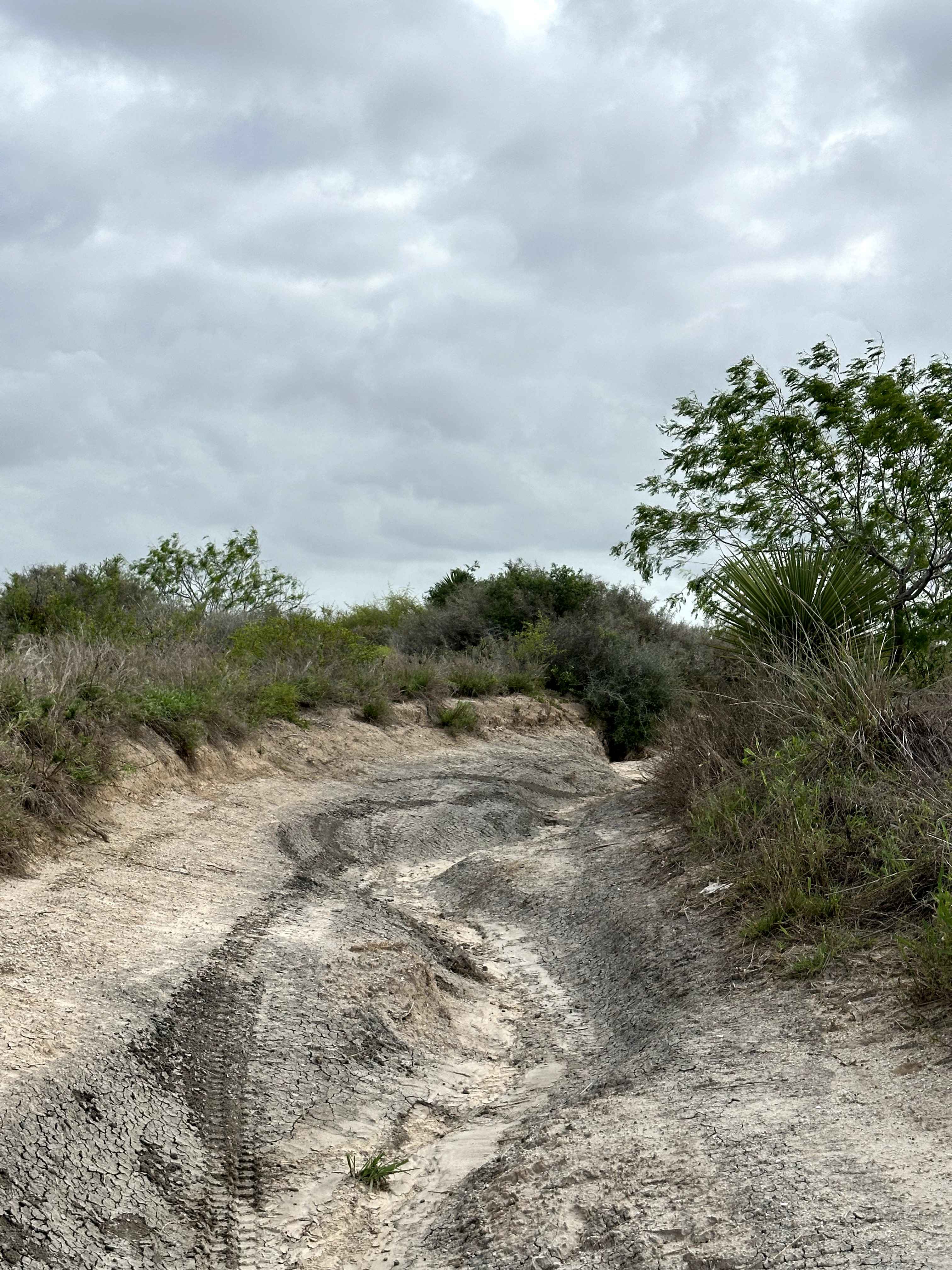 Mud to Sand Hills