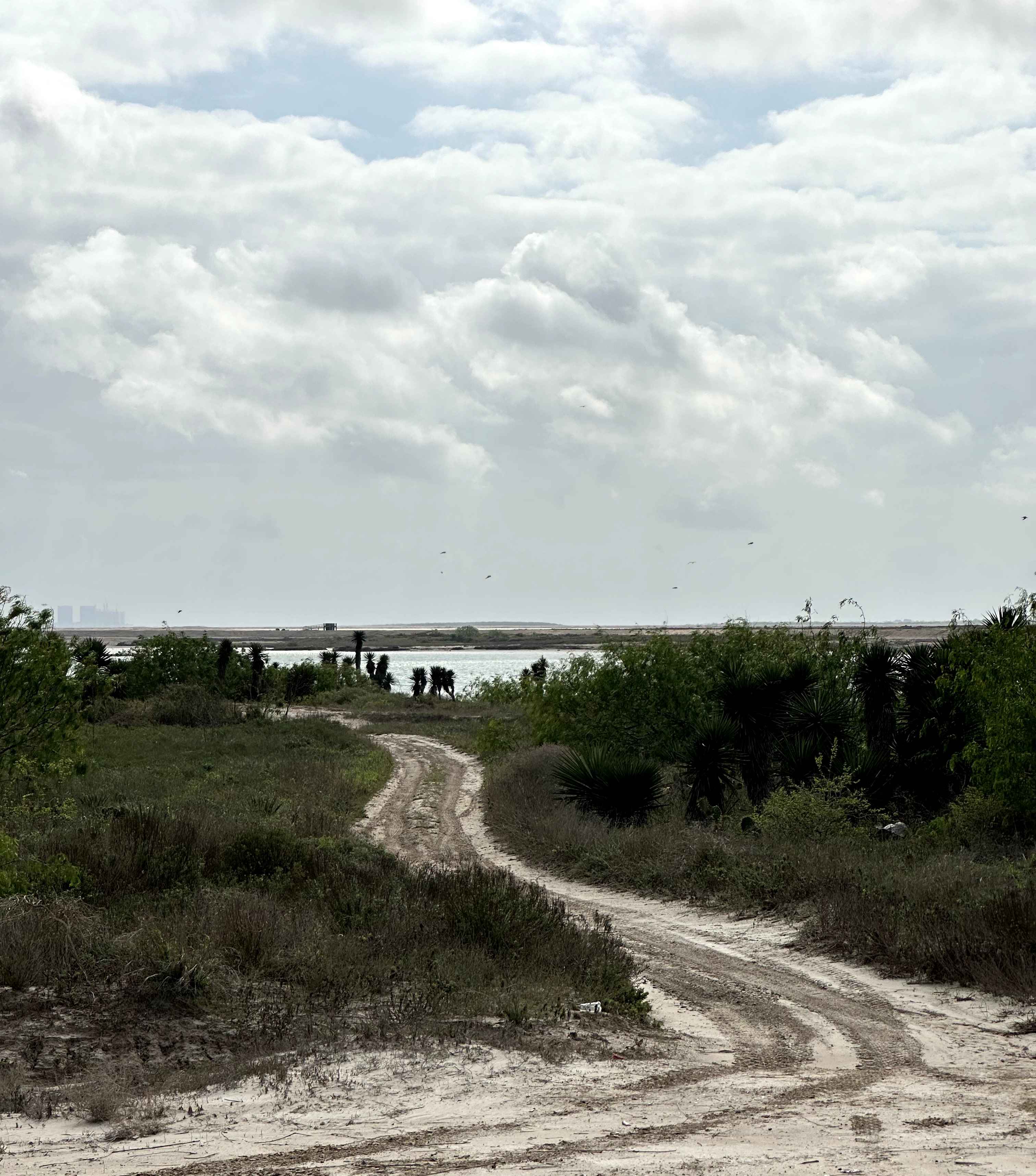 Ship Channel Entrance