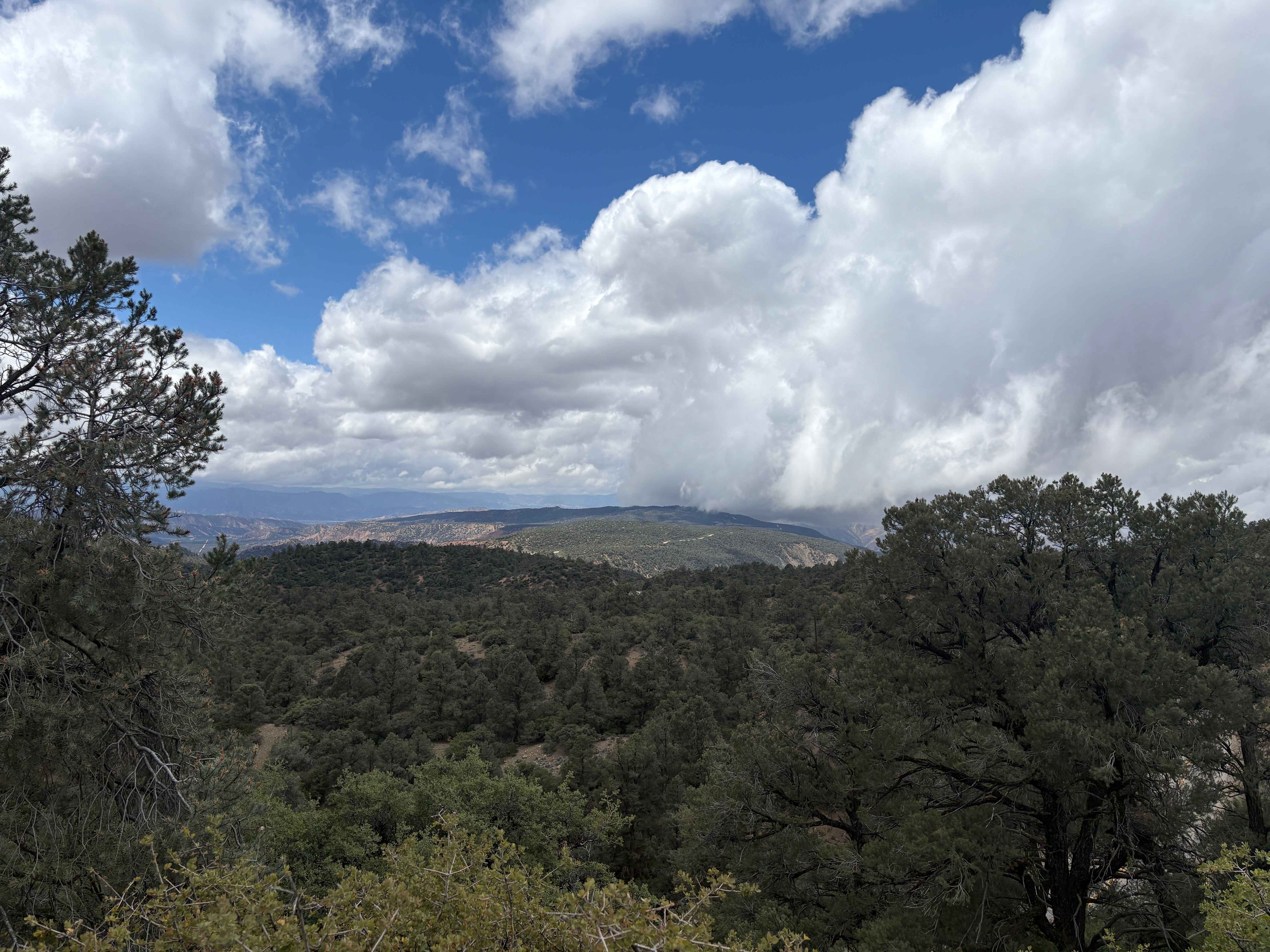 Camp Marion - FS 9N34