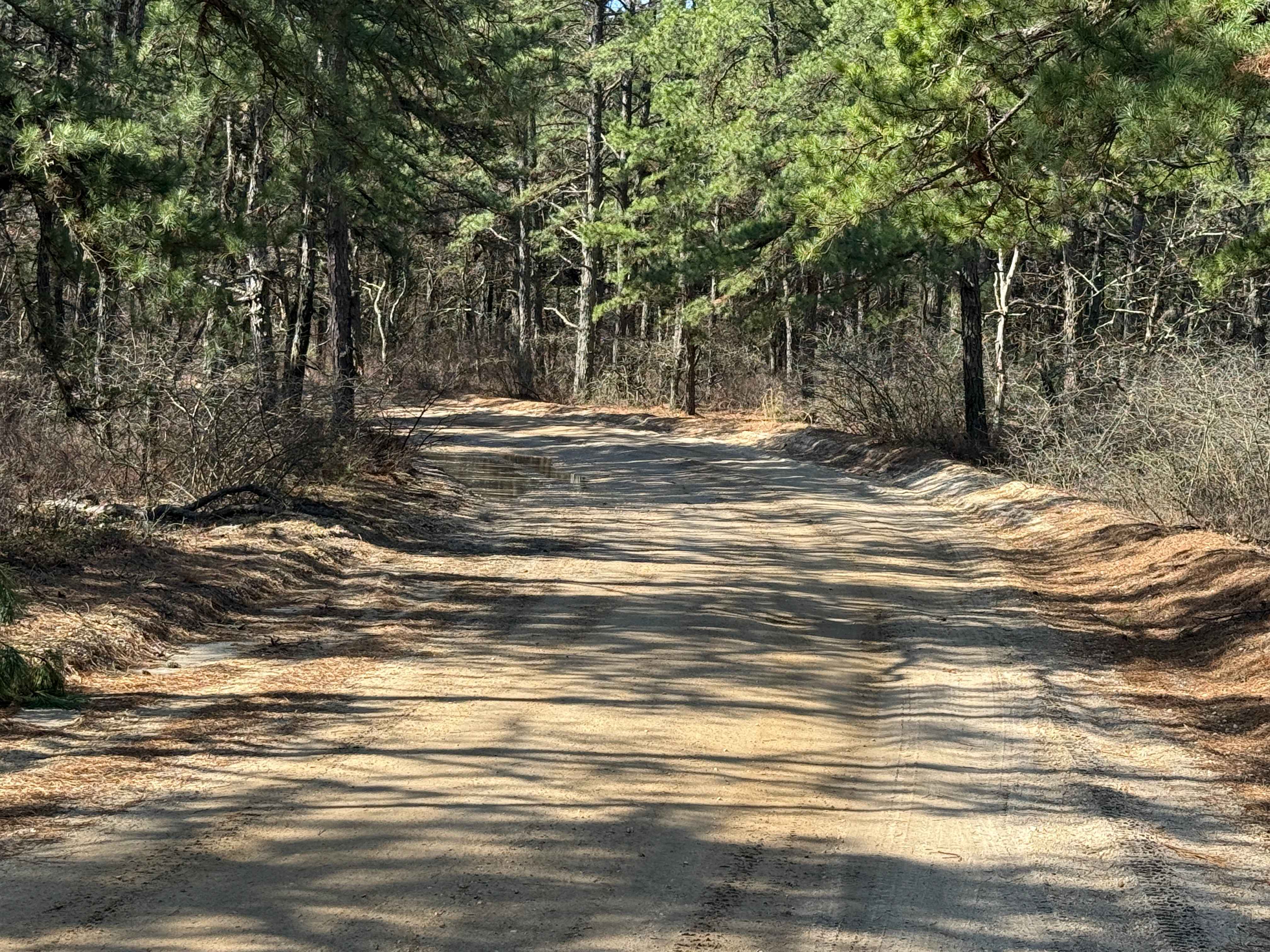 Mount Misery and Pasadena Road