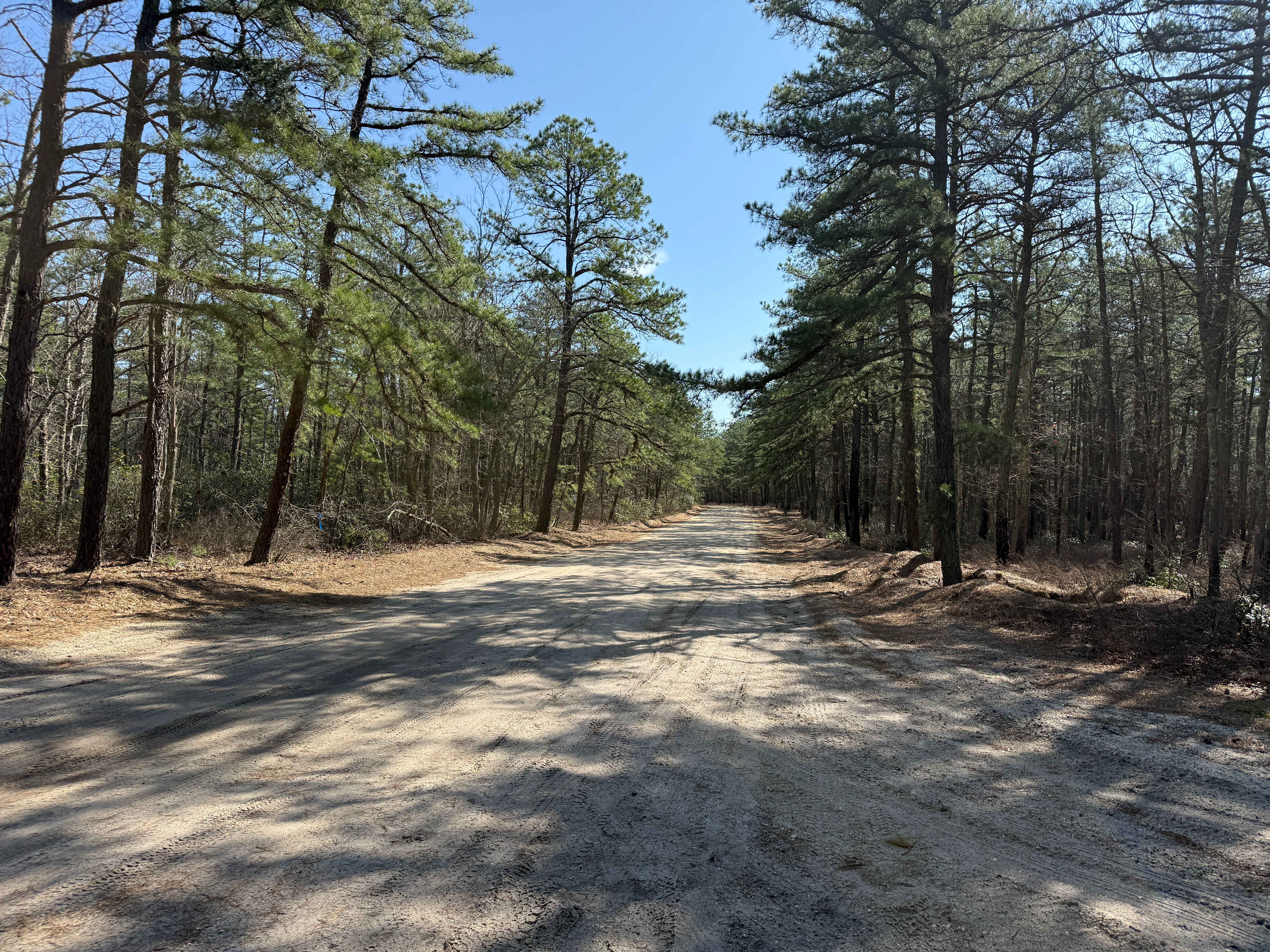 Mount Misery and Pasadena Road