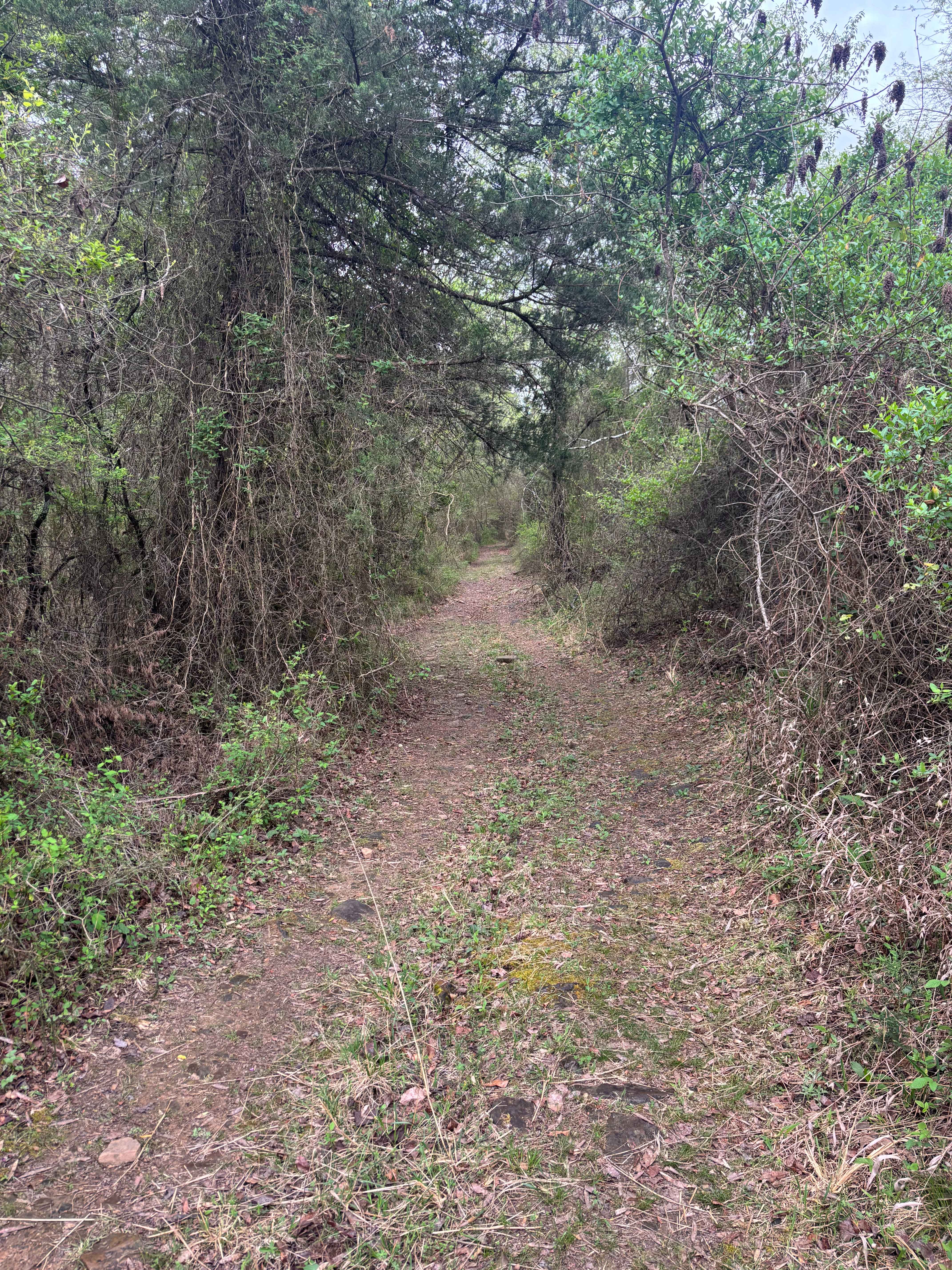 Point Remove Creek Spillway