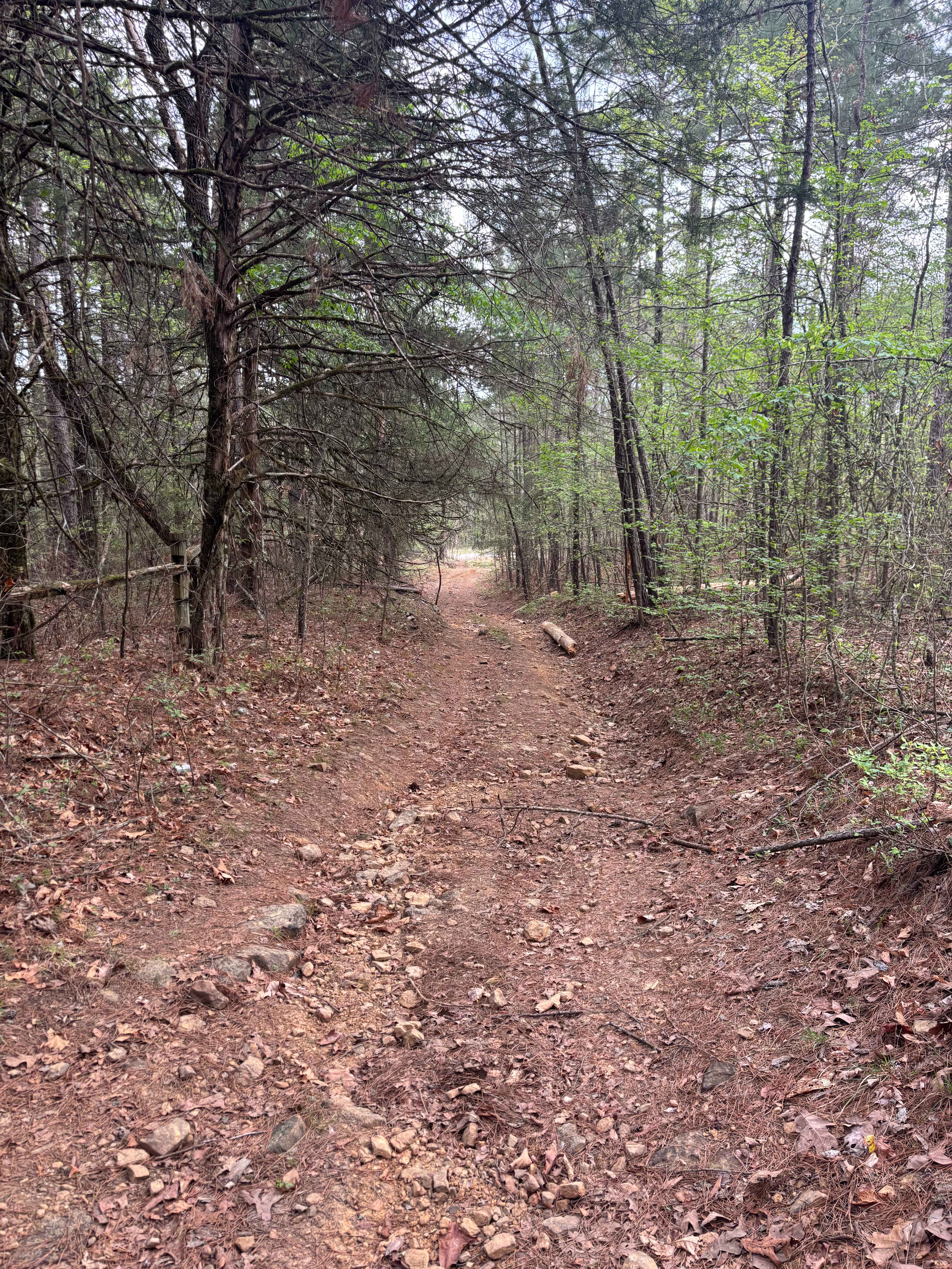 Point Remove Creek Spillway