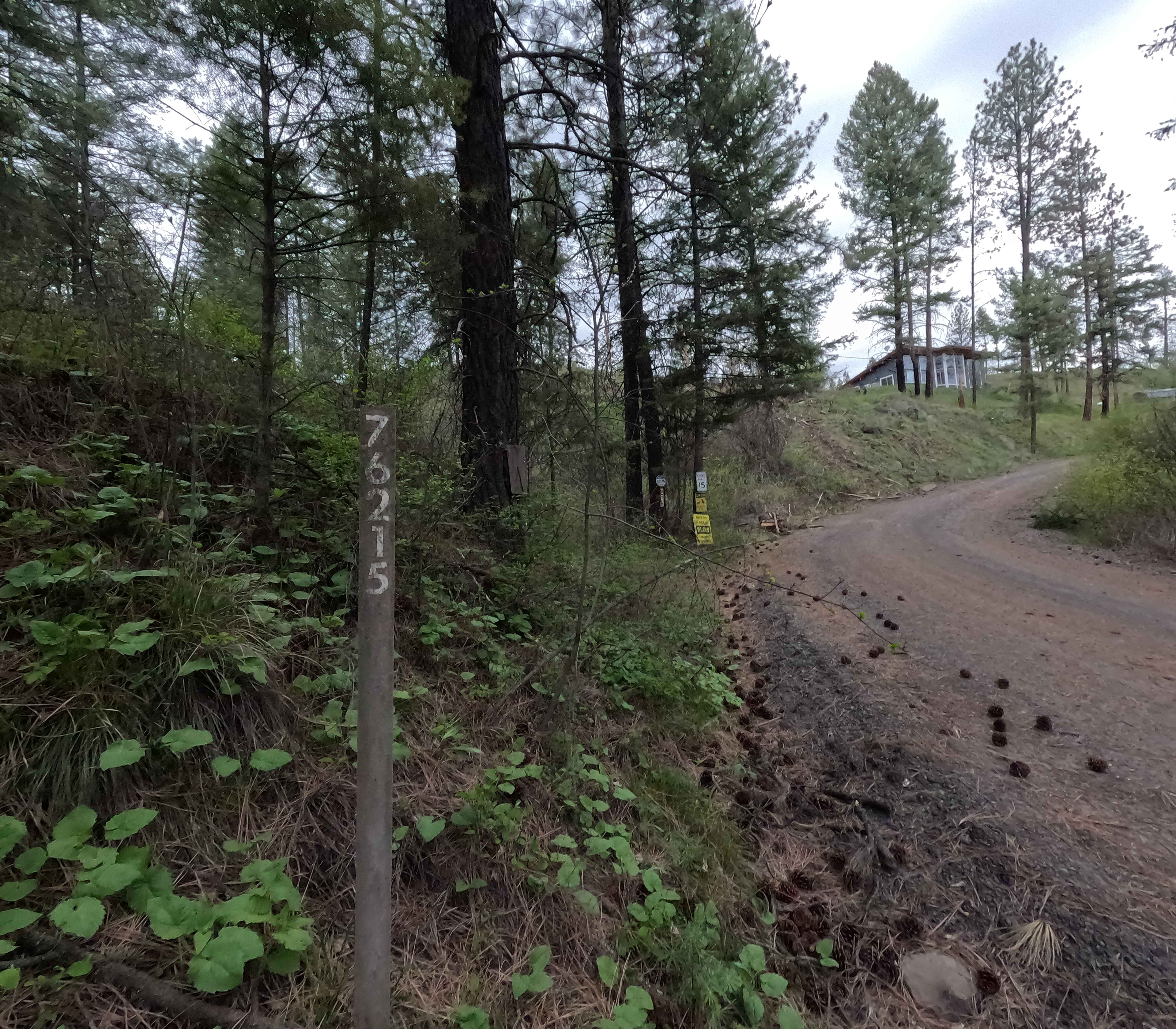 Looking Glass - FS 62