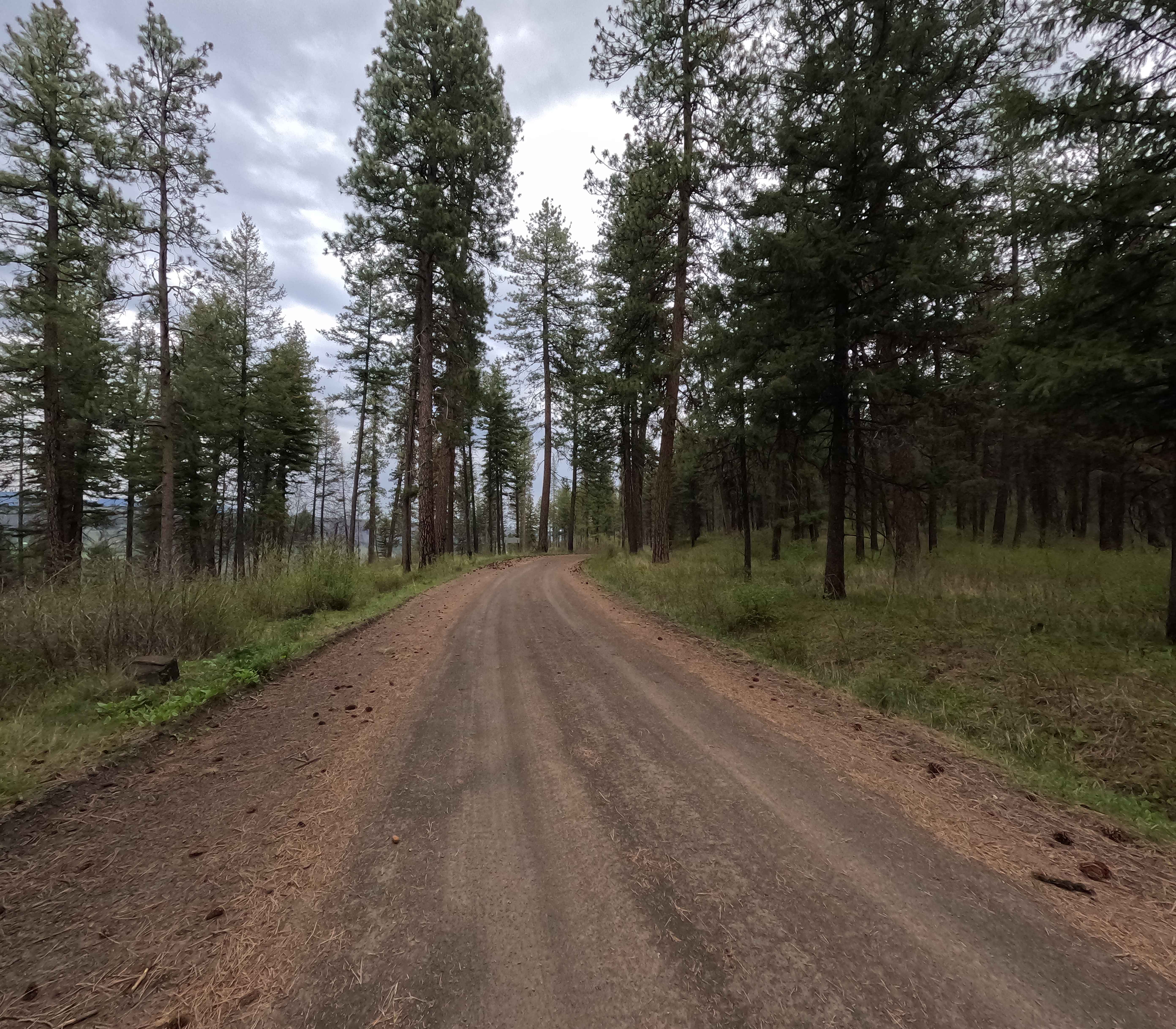 Looking Glass - FS 62