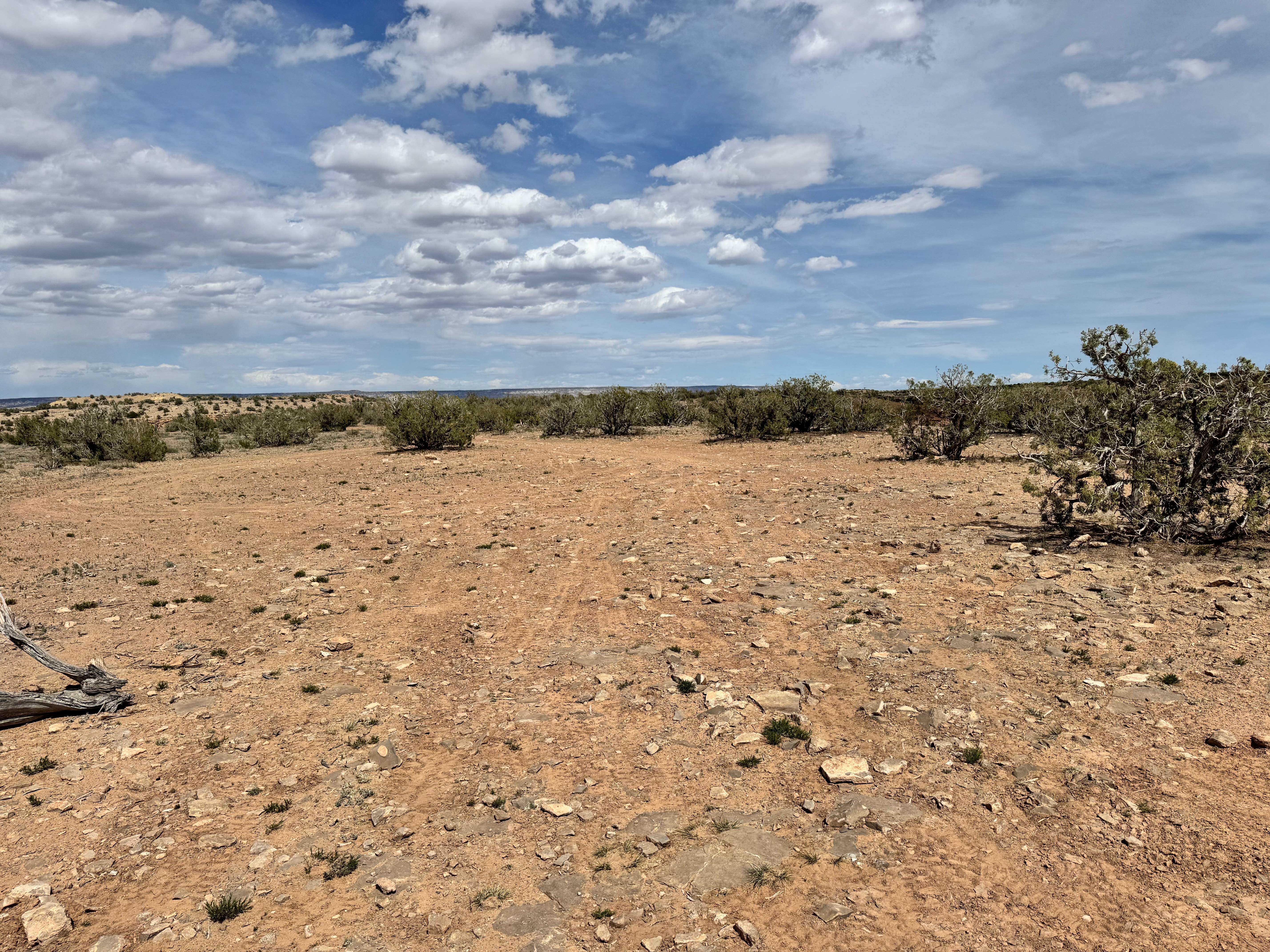 West Wedge Trail 1