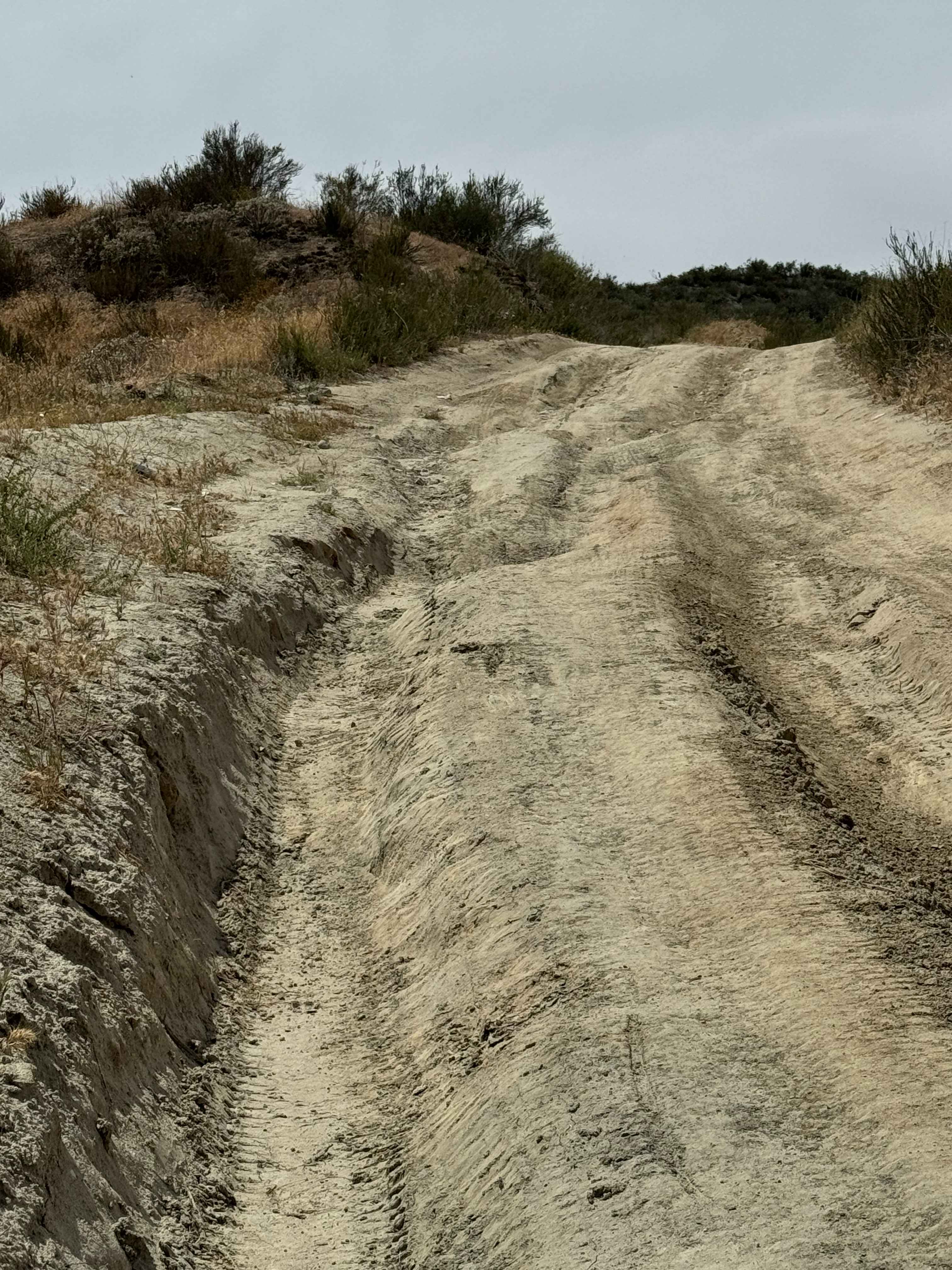 Bee Canyon
