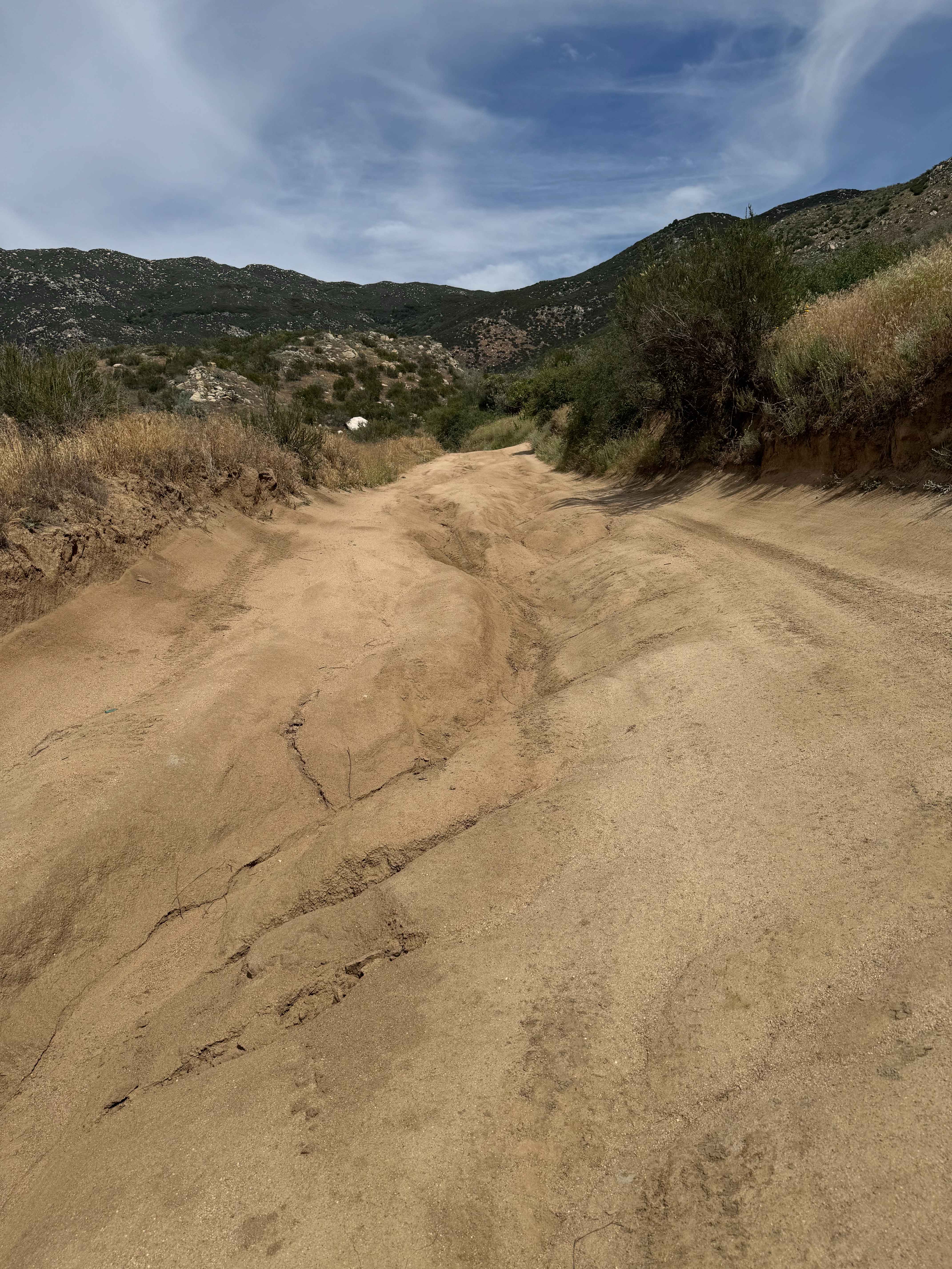 Bee Canyon