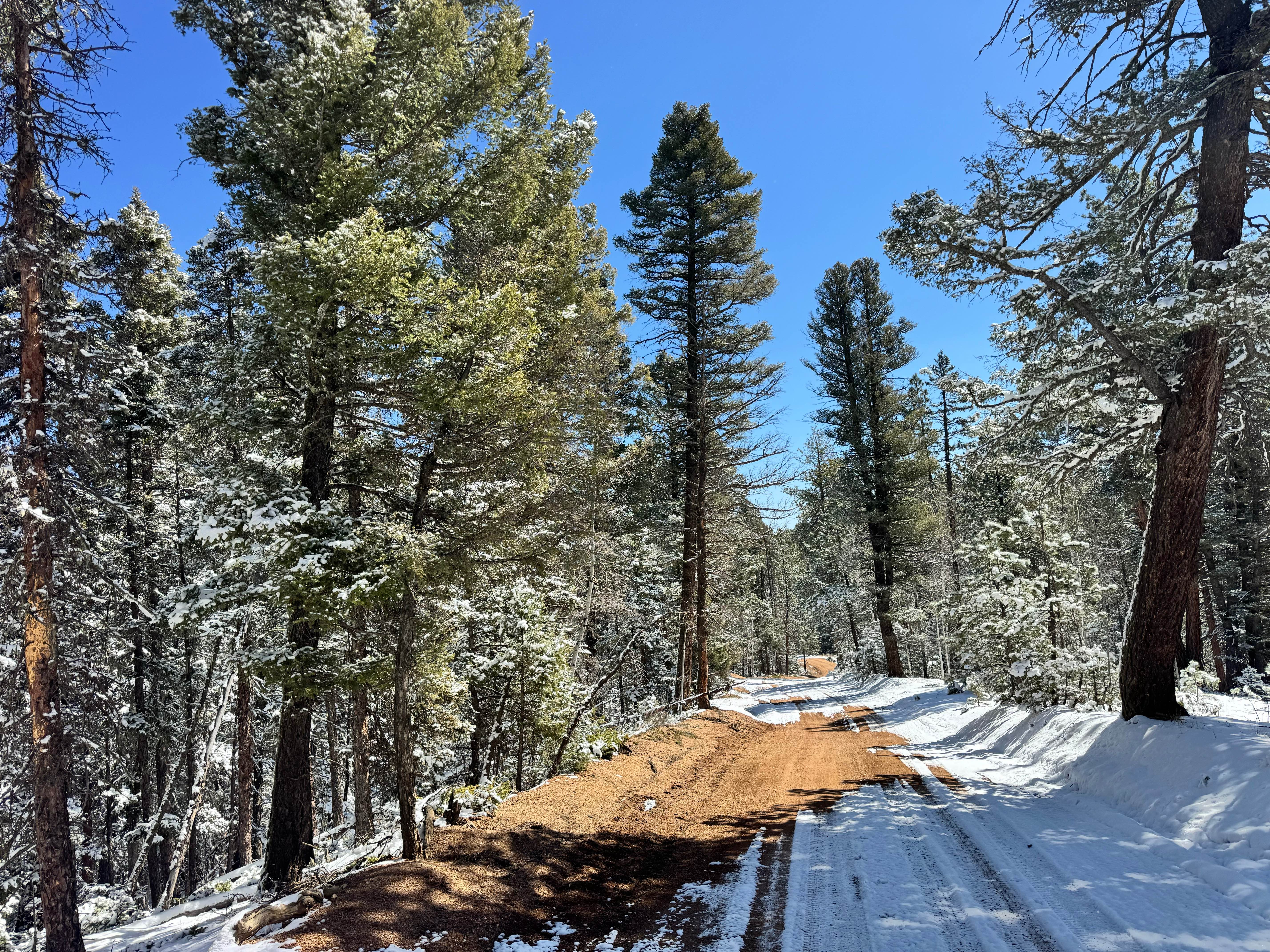 Yucca Road - FS 359