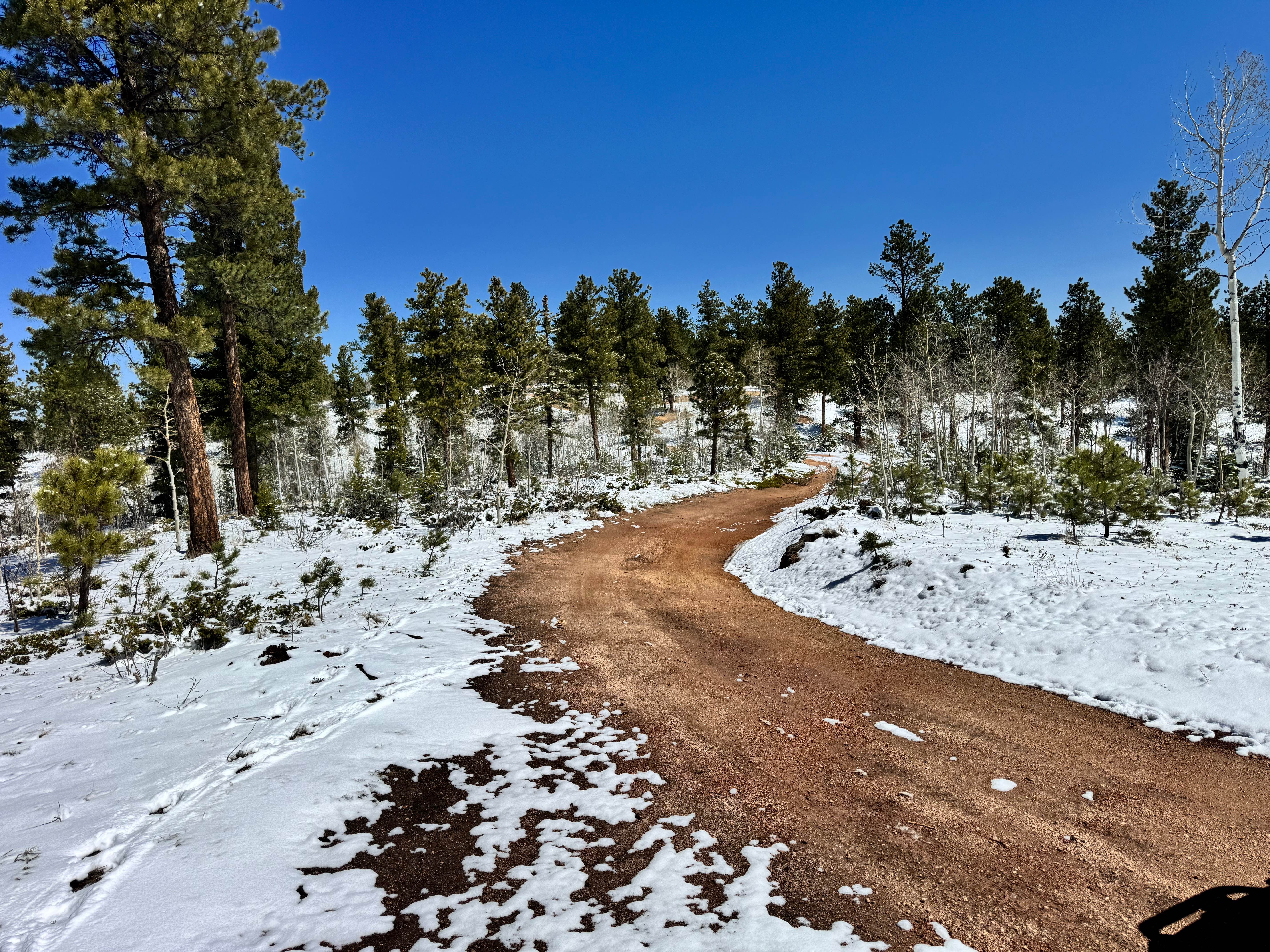 Cedar Cut 3 Road - FS 359