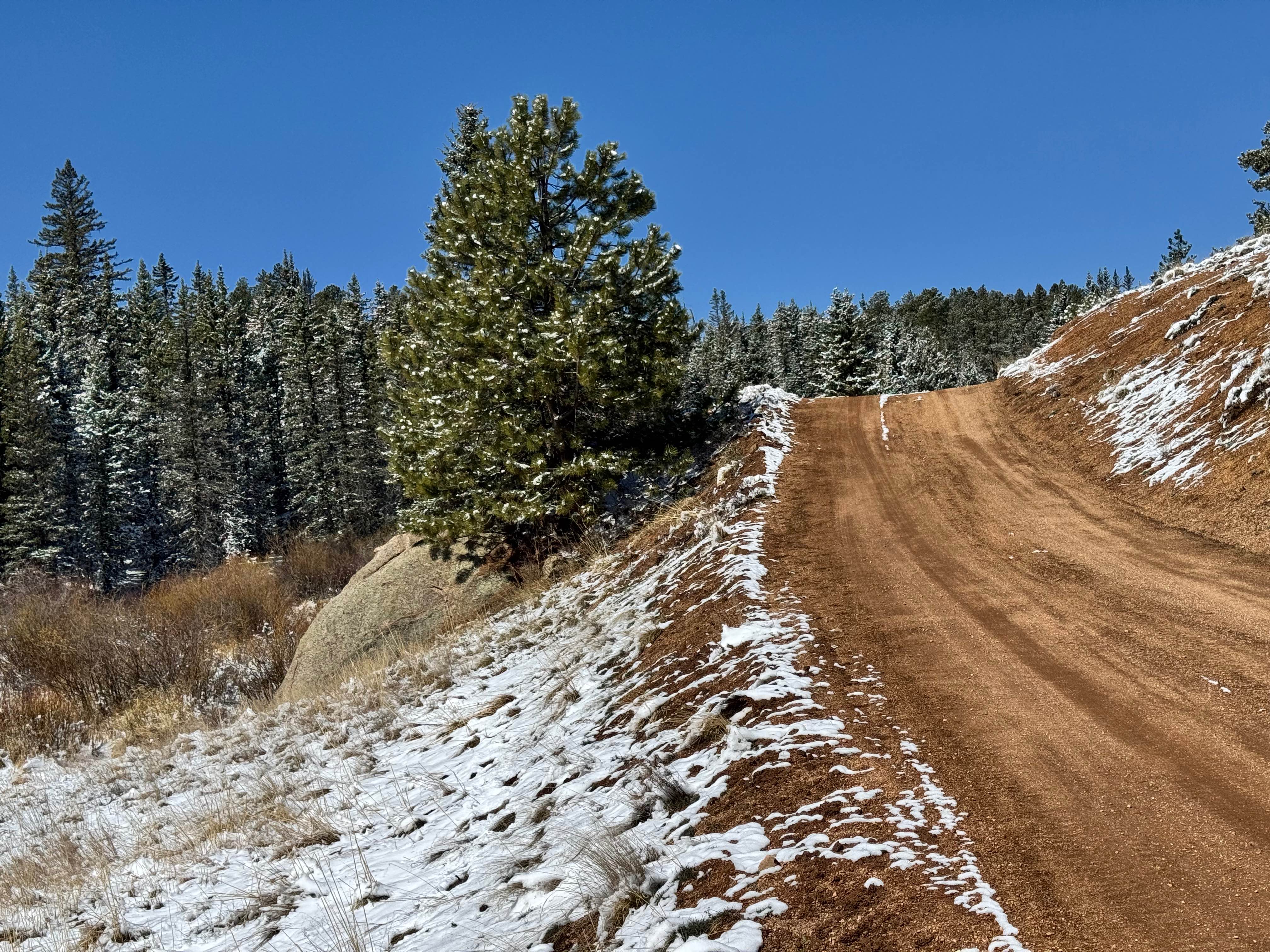 Cedar Cut 3 Road - FS 359
