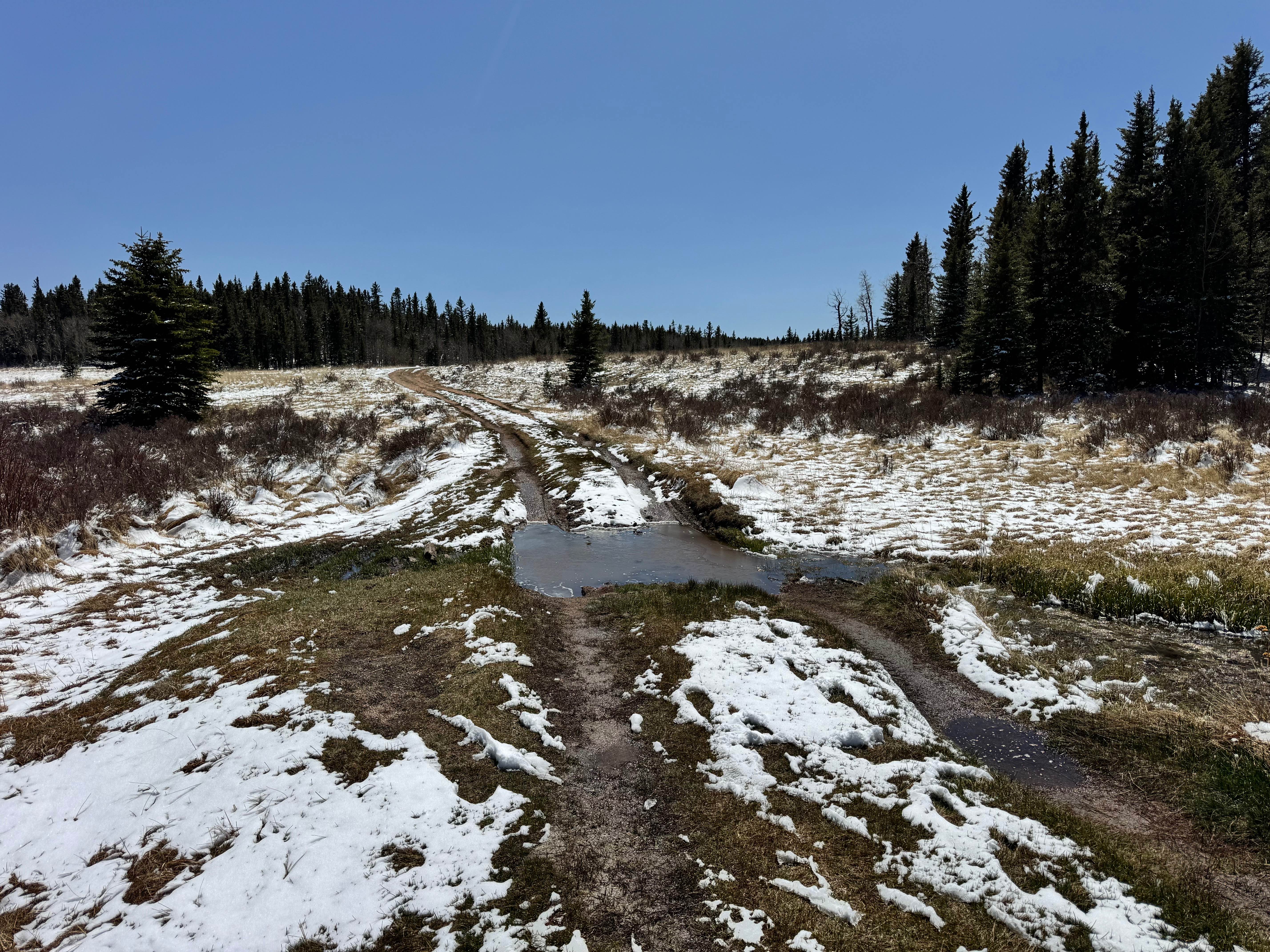 Crazy Gulch Road - FS 375