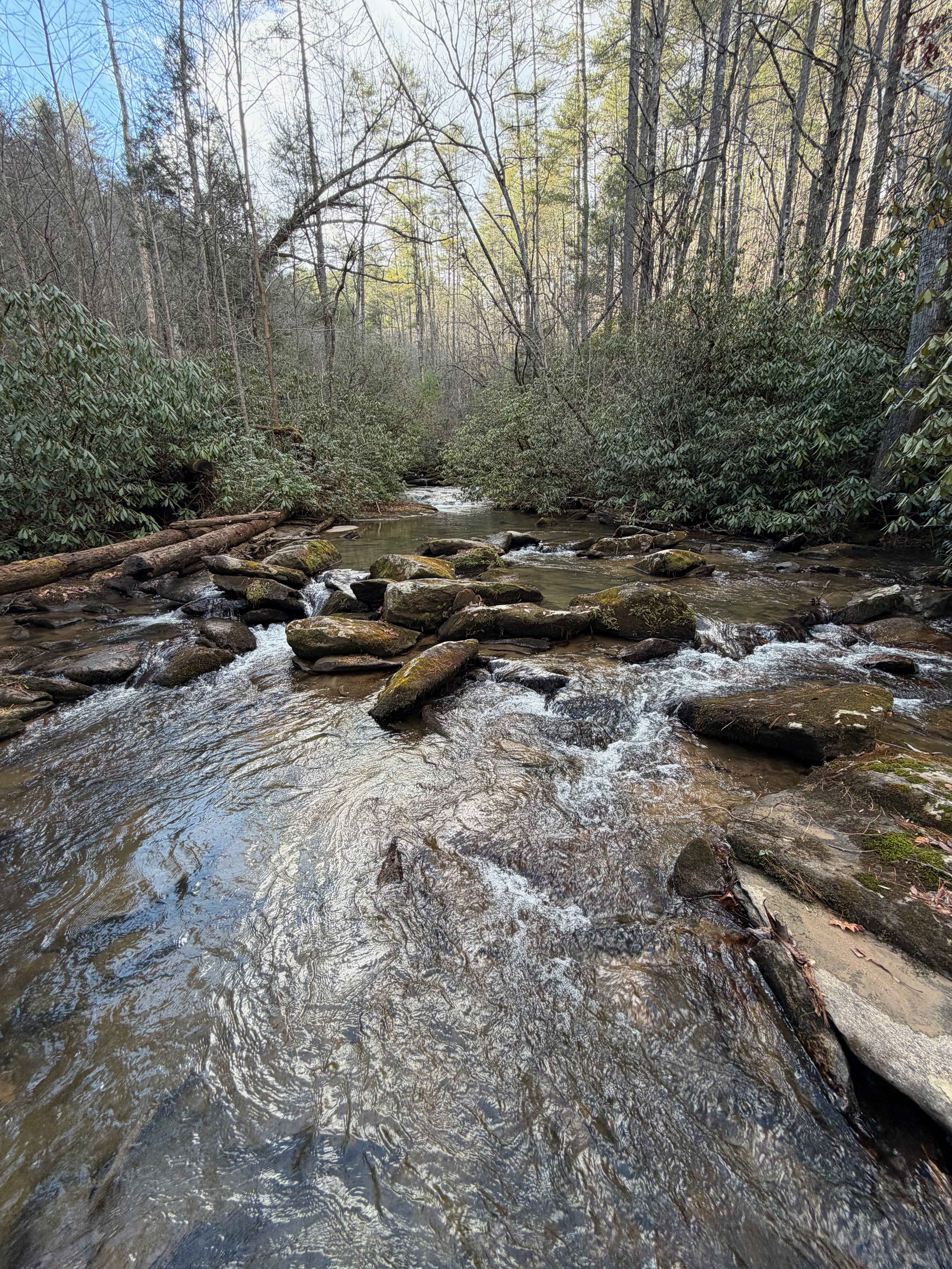 Timpson Creek - FS 162