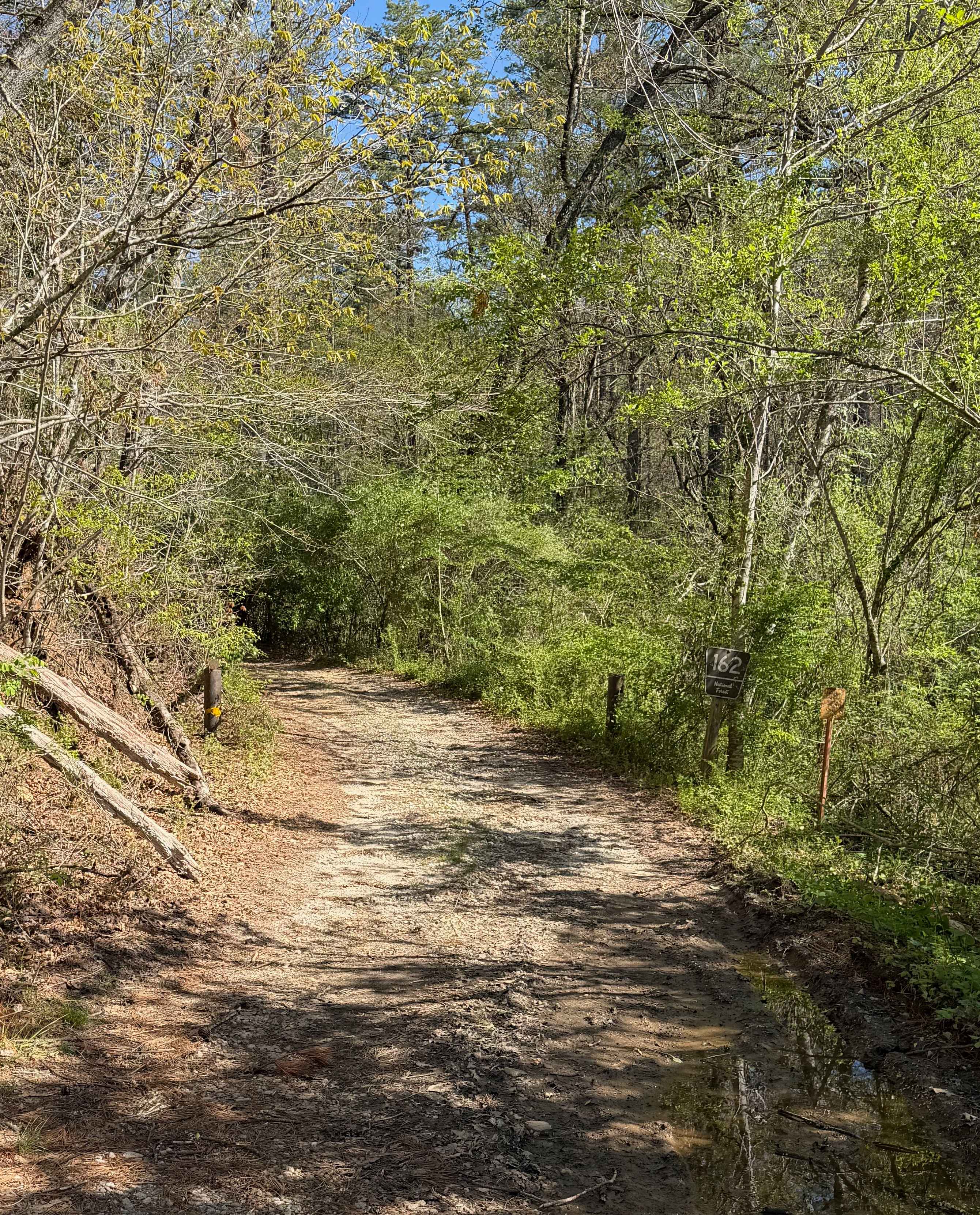 Timpson Creek - FS 162