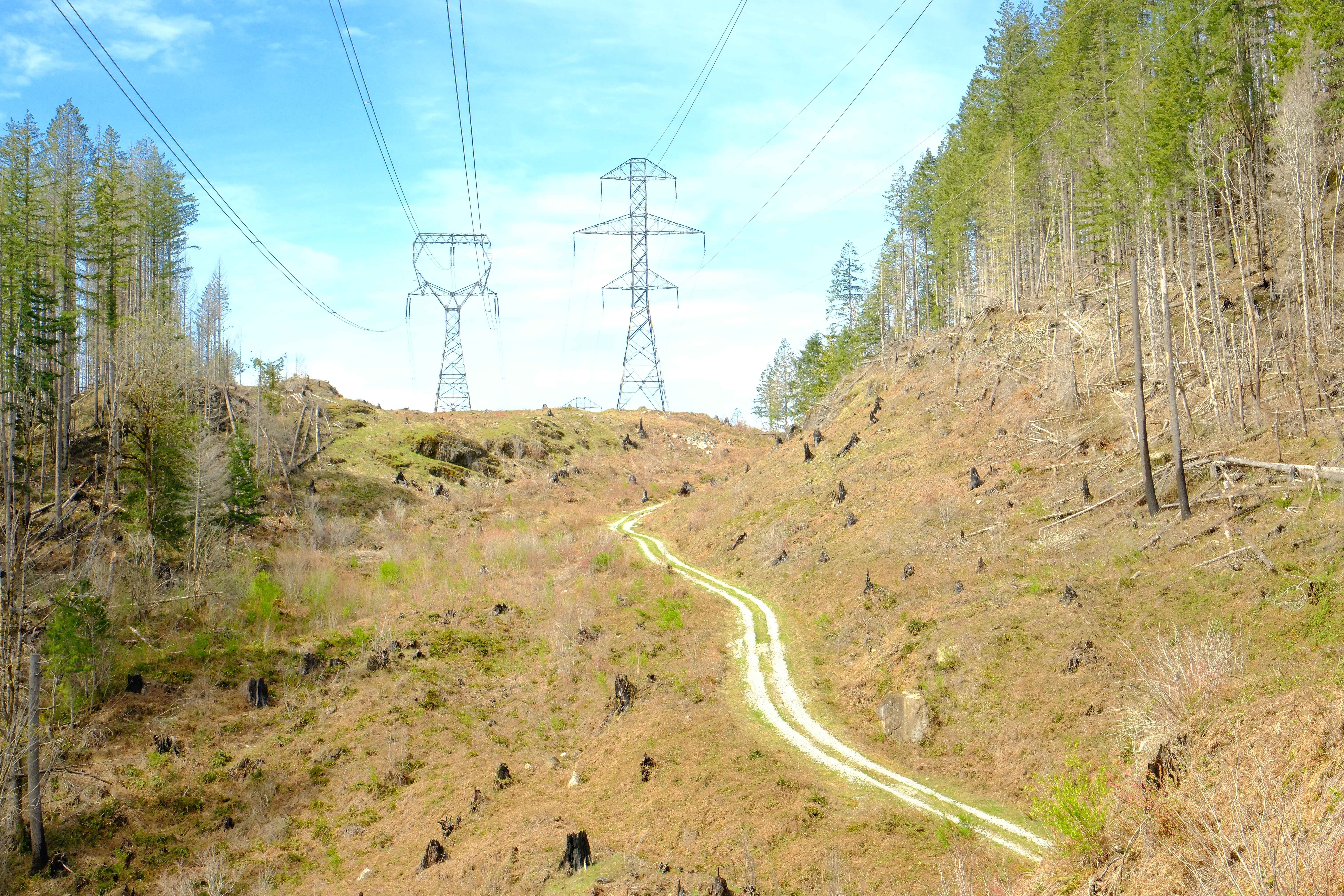 Electric Hills - FS 6512105
