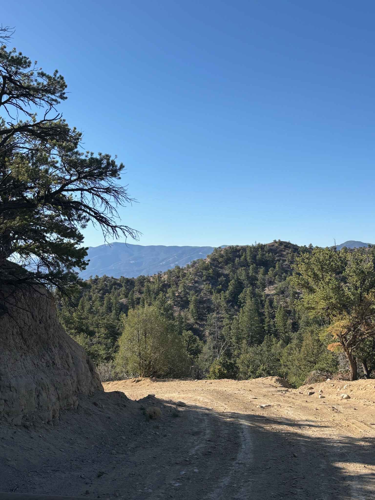 Droney Gulch