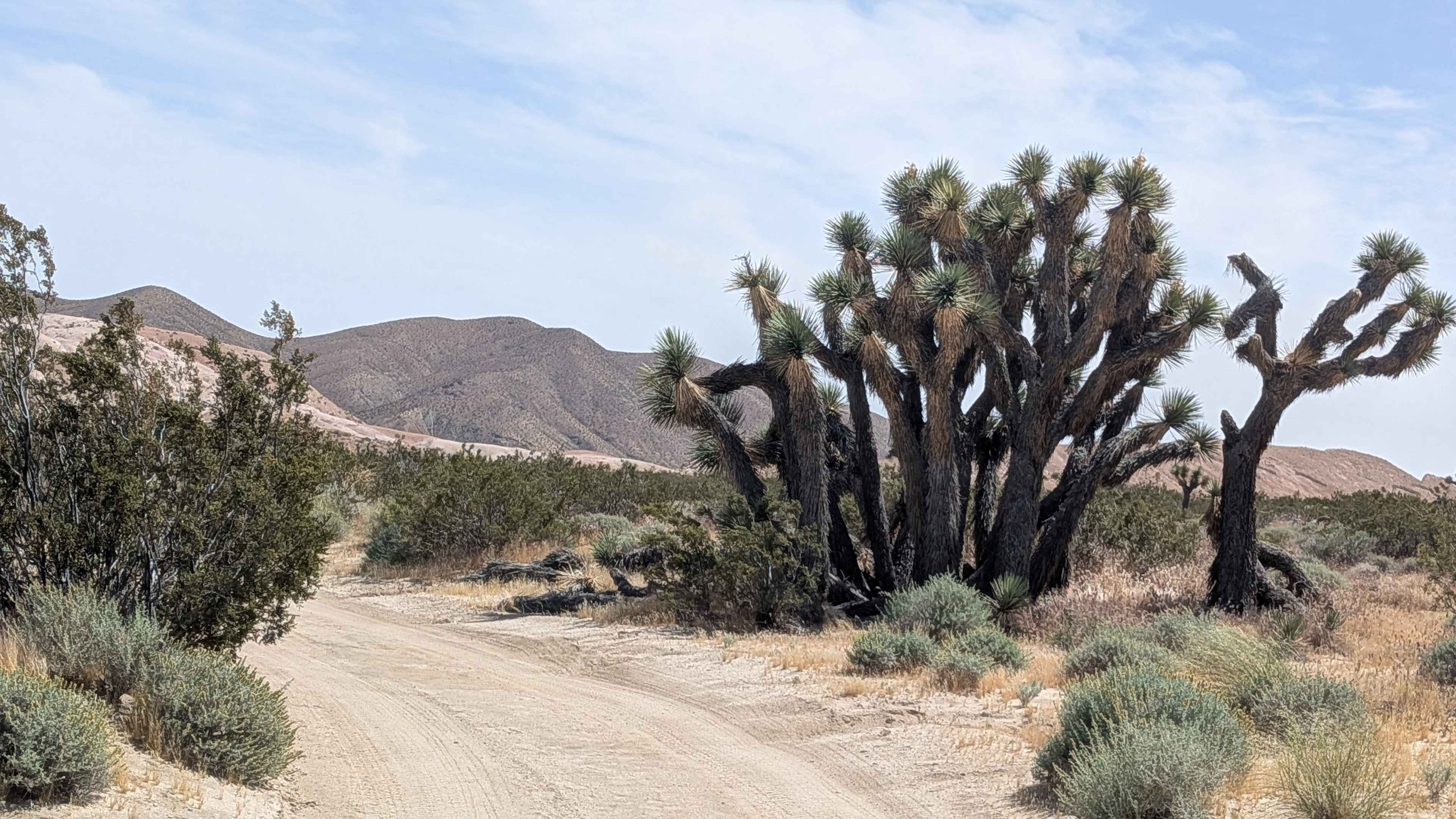 Tuft Point Road