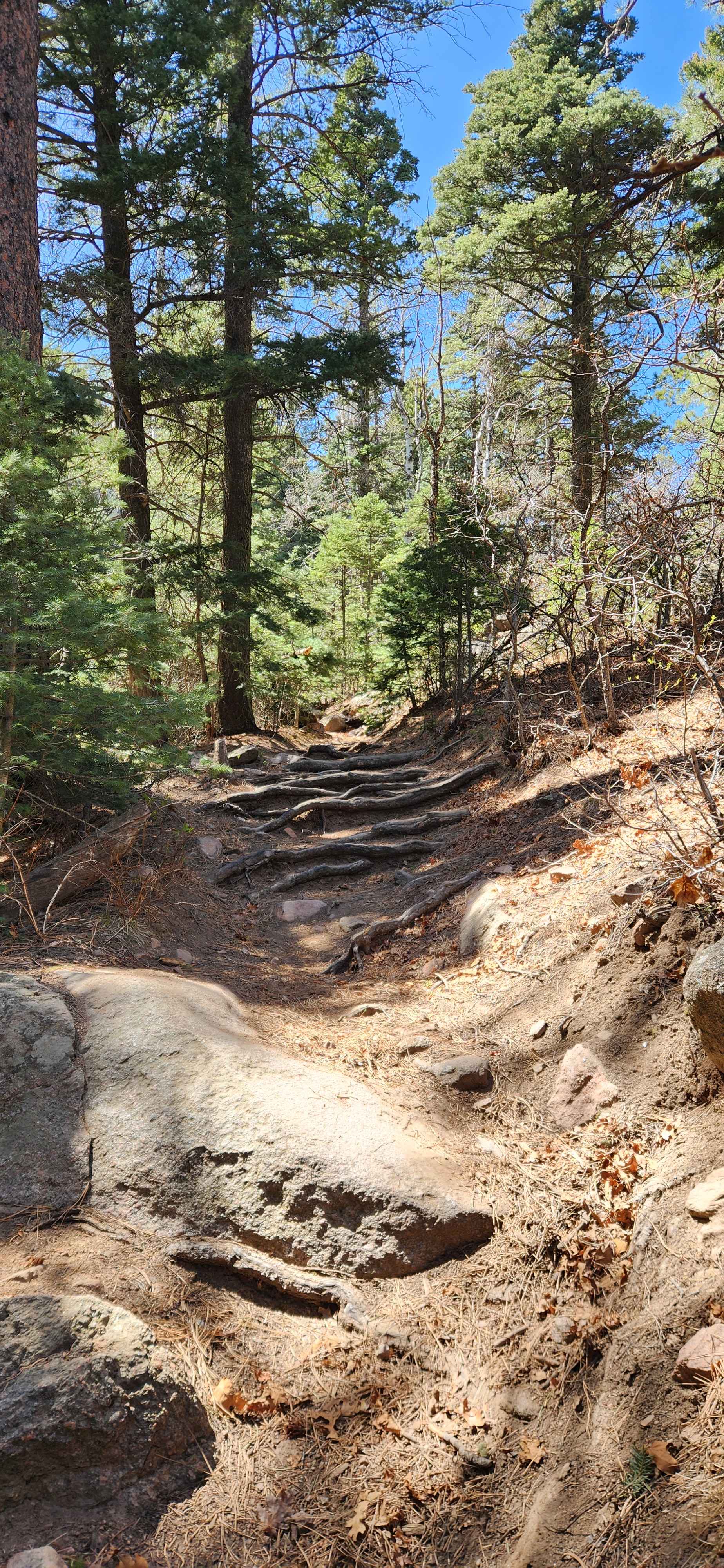 East Bear Trail