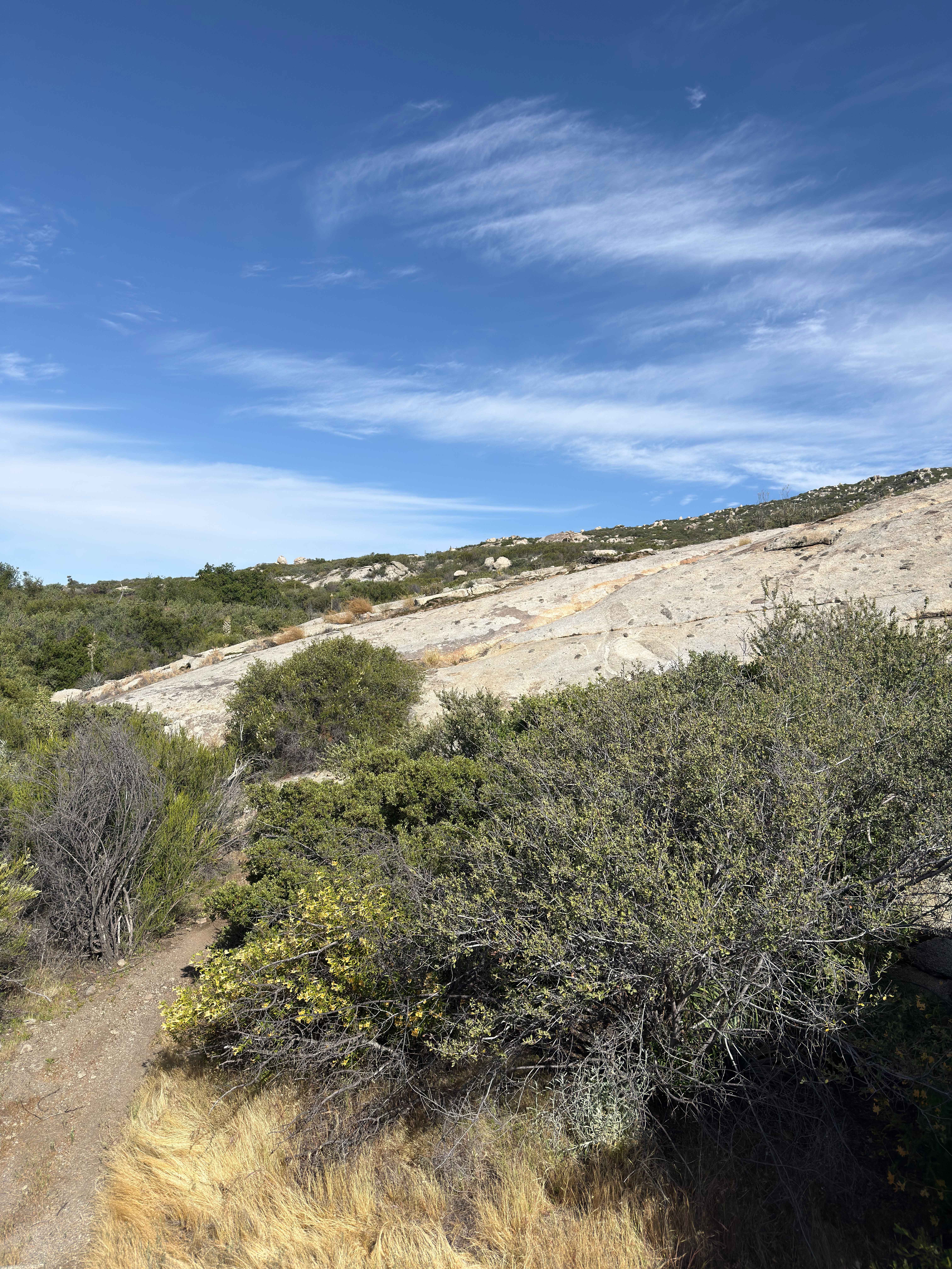 Ranger - Trail 12