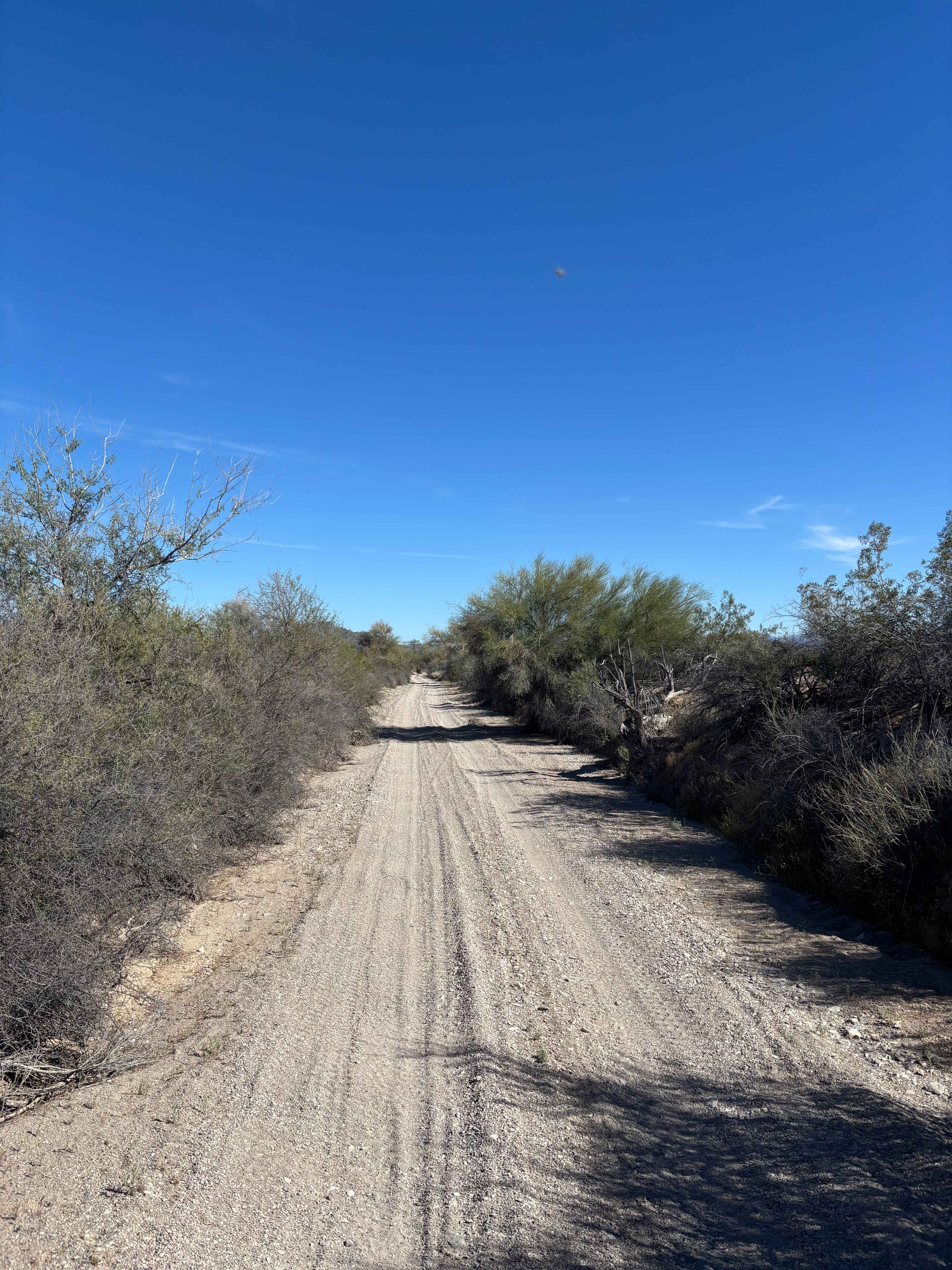 Petroglyph Access